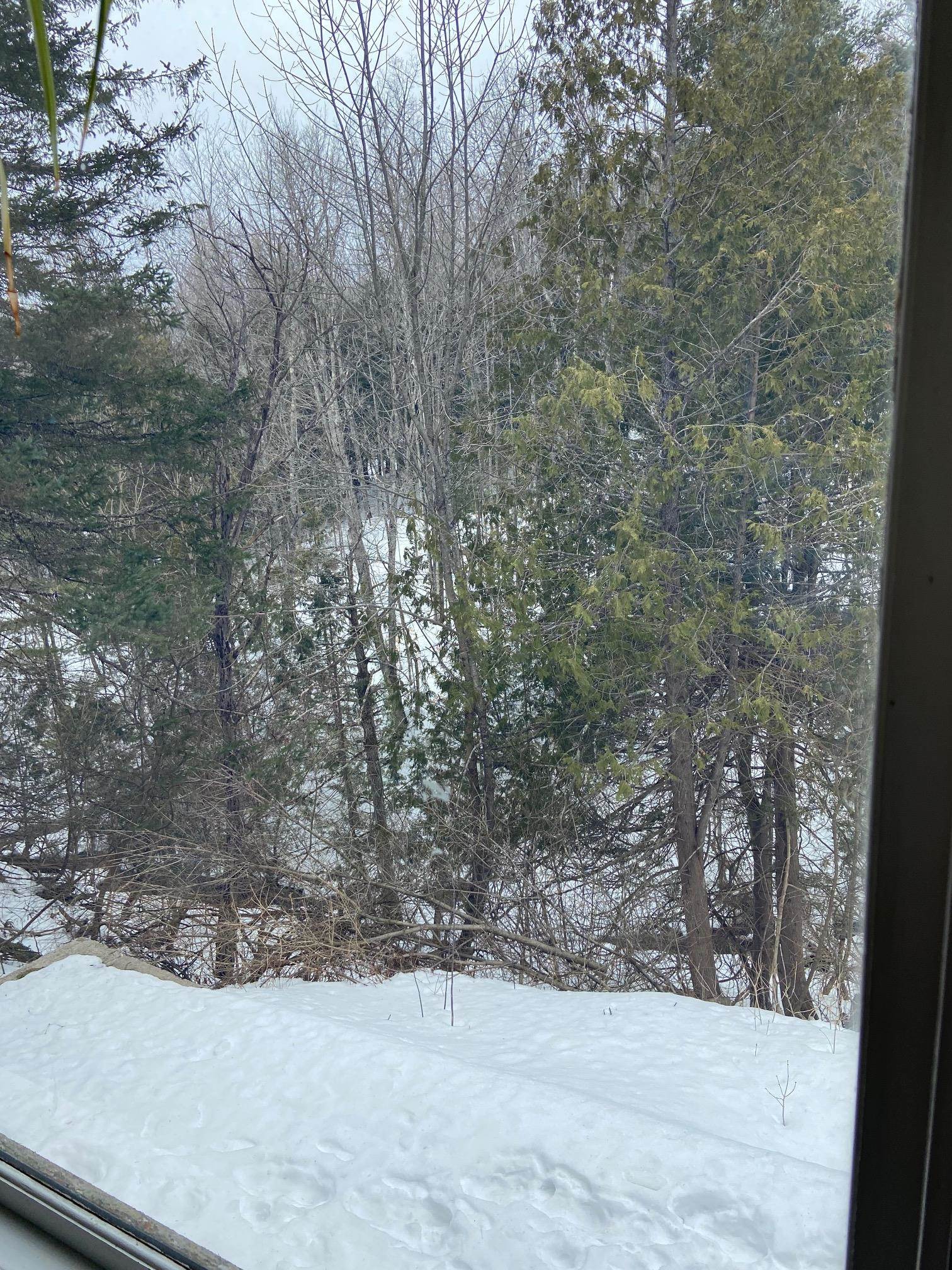 475 High Street Barton, VT 05822 - Photo 8 of 35