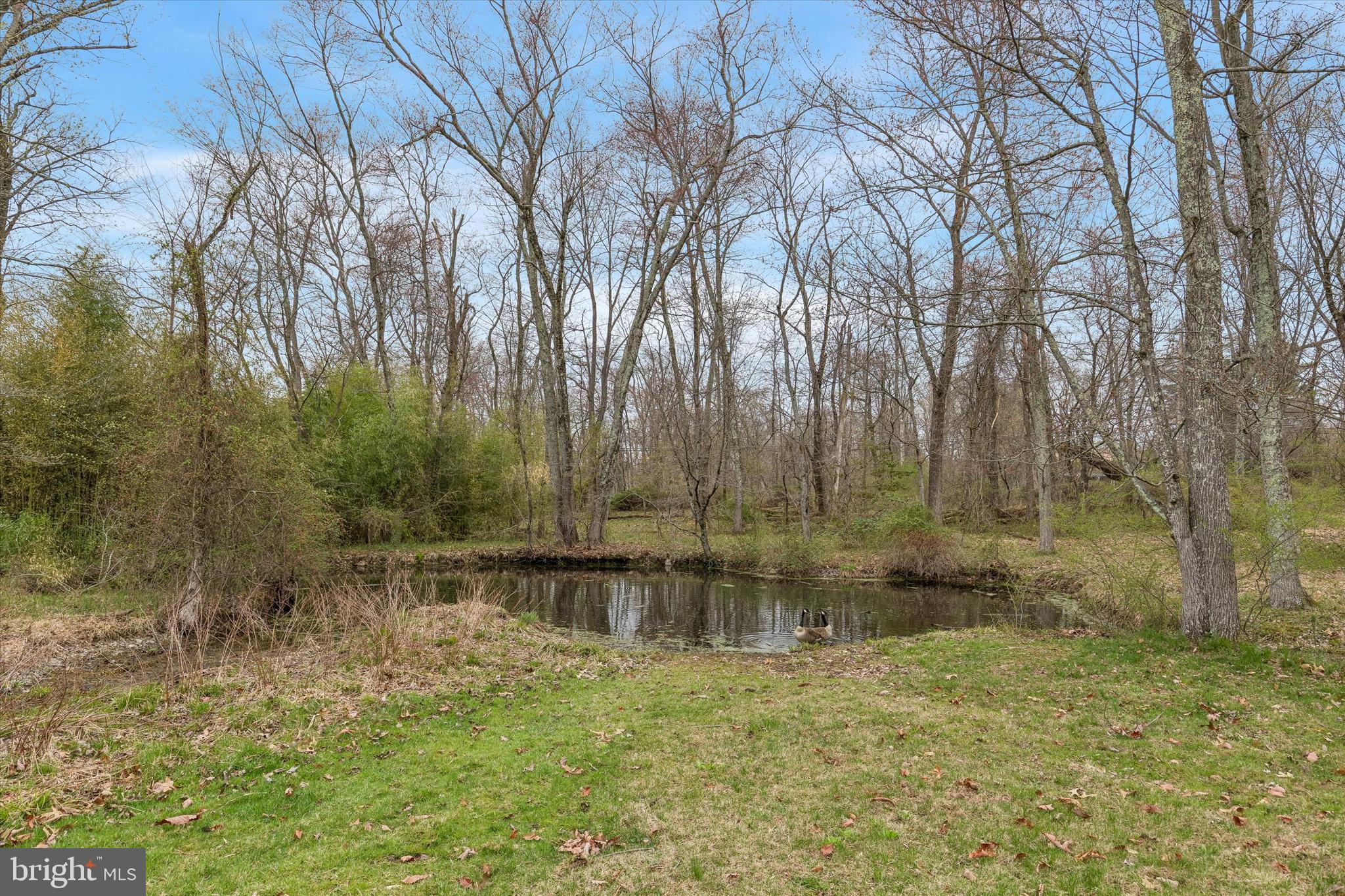 1240 Stump Road North Wales, PA 19454 - Photo 41 of 57 Pond