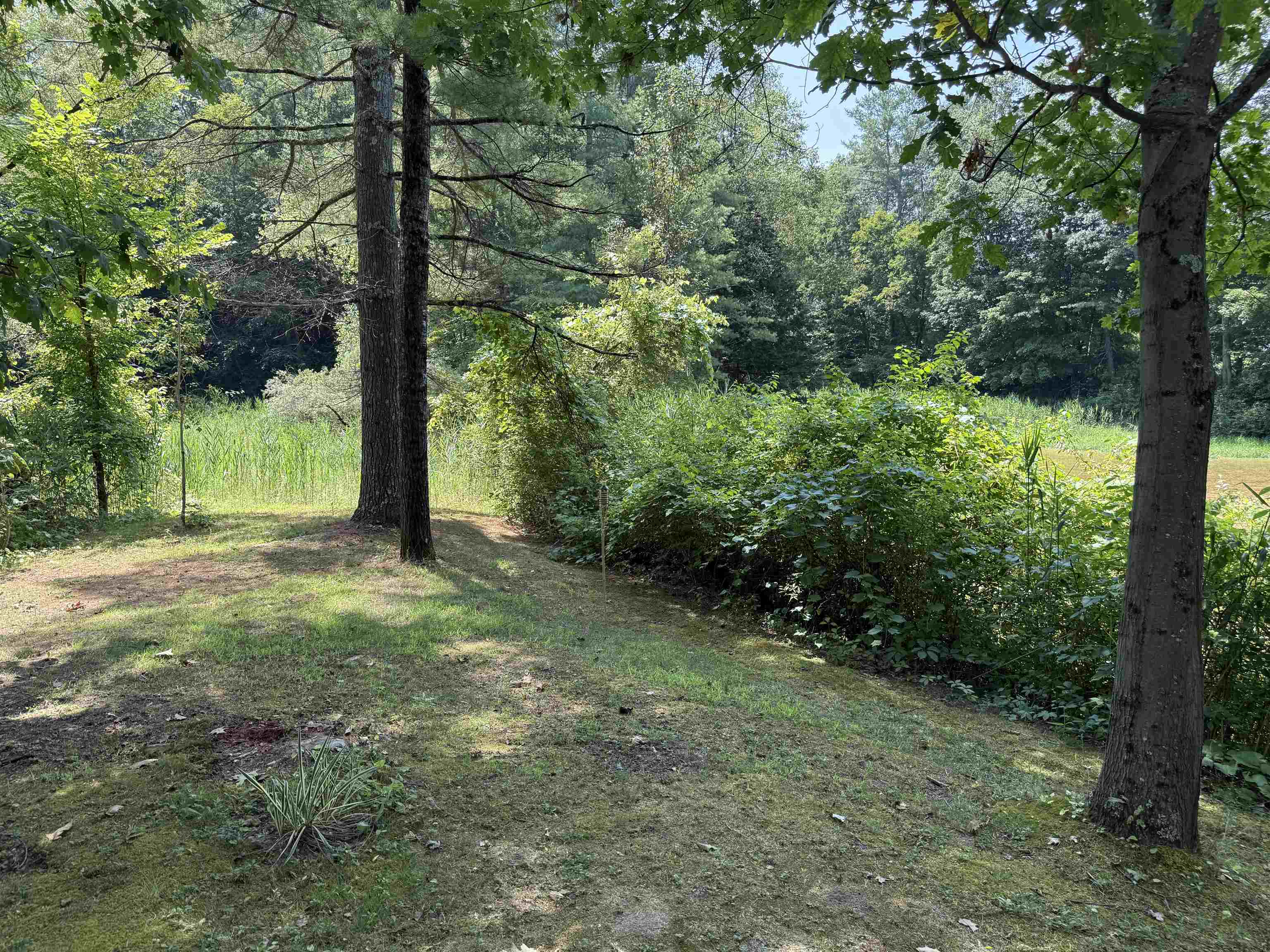 148 Pinnacle Ridge Road Rutland Town, VT 05701 - Photo 50 of 59