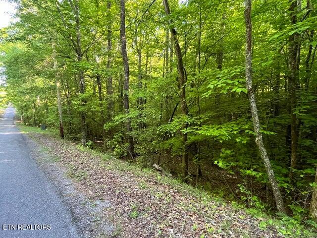 373-375 Beta Drive Spring City, TN 37381 - Photo 2 of 3 337-335 beta pic