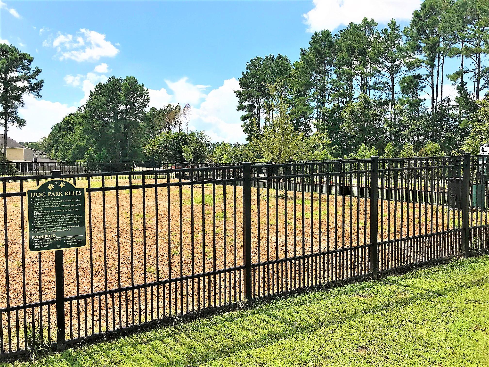 312 Mincy Street Moncks Corner, SC 29461 - Photo 40 of 48 12