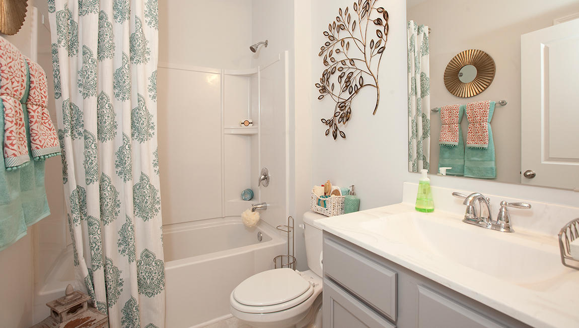 312 Mincy Street Moncks Corner, SC 29461 - Photo 7 of 48 Aria B