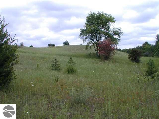 9962 West County Line Road Thompsonville, MI 49683 - Photo 4 of 5
