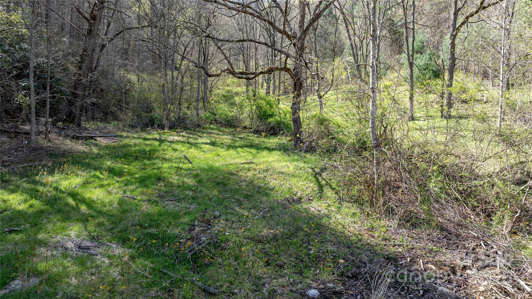 1408 Hamburg Road Mars Hill, NC 28754 - Photo 13 of 24 a view of backyard with green space