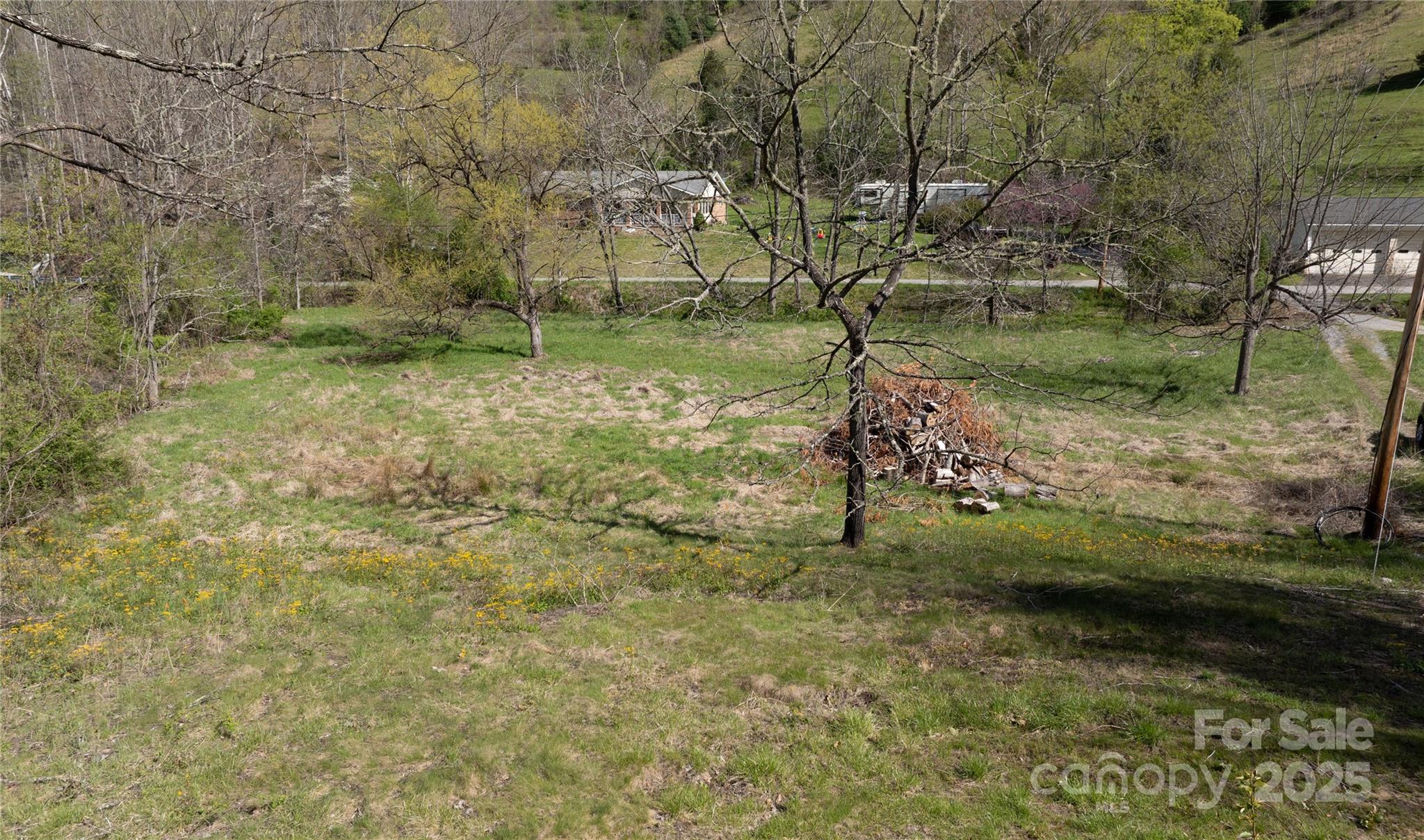 1408 Hamburg Road Mars Hill, NC 28754 - Photo 14 of 24 a backyard of a house with lots of green space