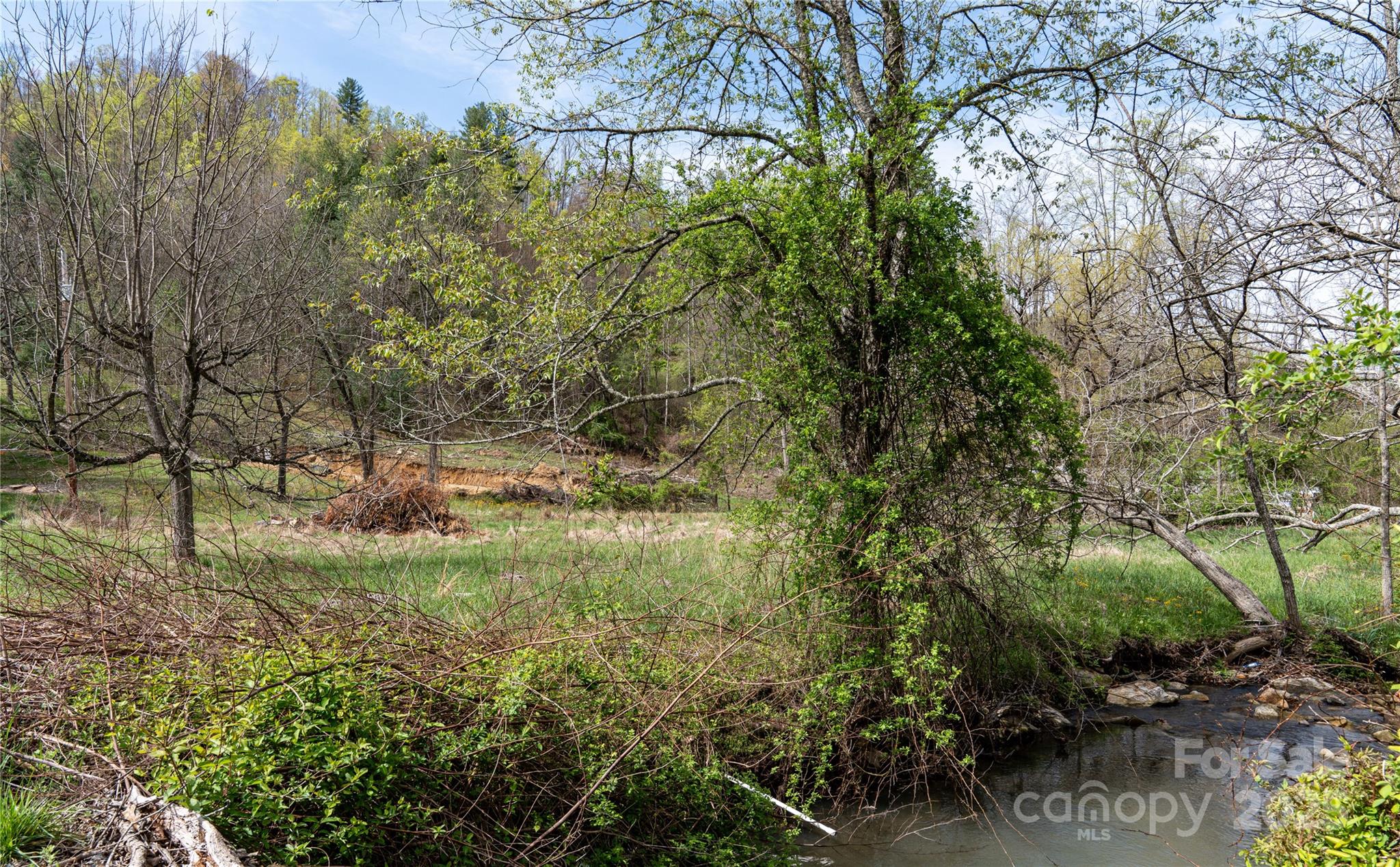 1408 Hamburg Road Mars Hill, NC 28754 - Photo 16 of 24 a view of a garden