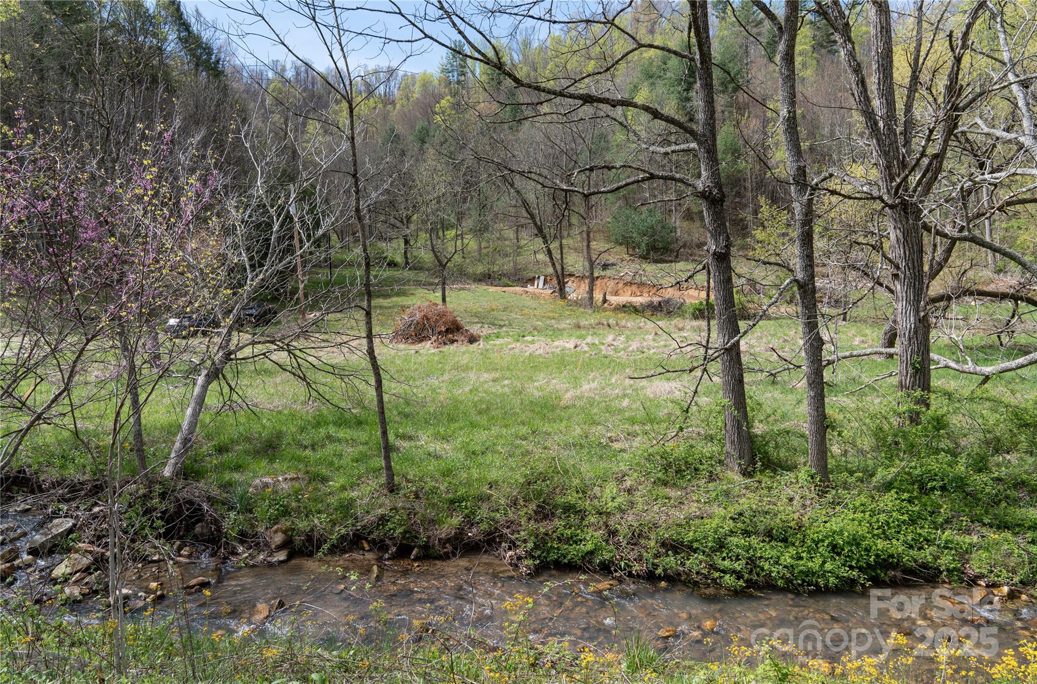 1408 Hamburg Road Mars Hill, NC 28754 - Photo 17 of 24 a view of a garden