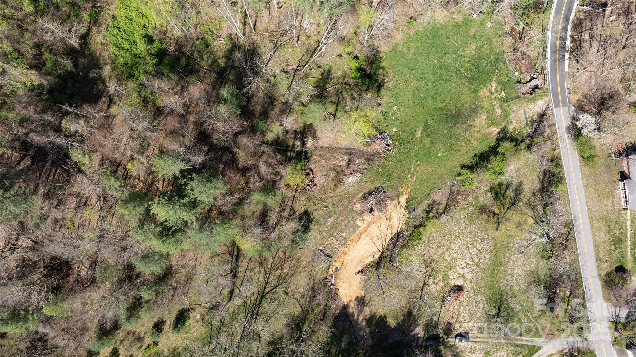 1408 Hamburg Road Mars Hill, NC 28754 - Photo 20 of 24 a view of a forest with a tree