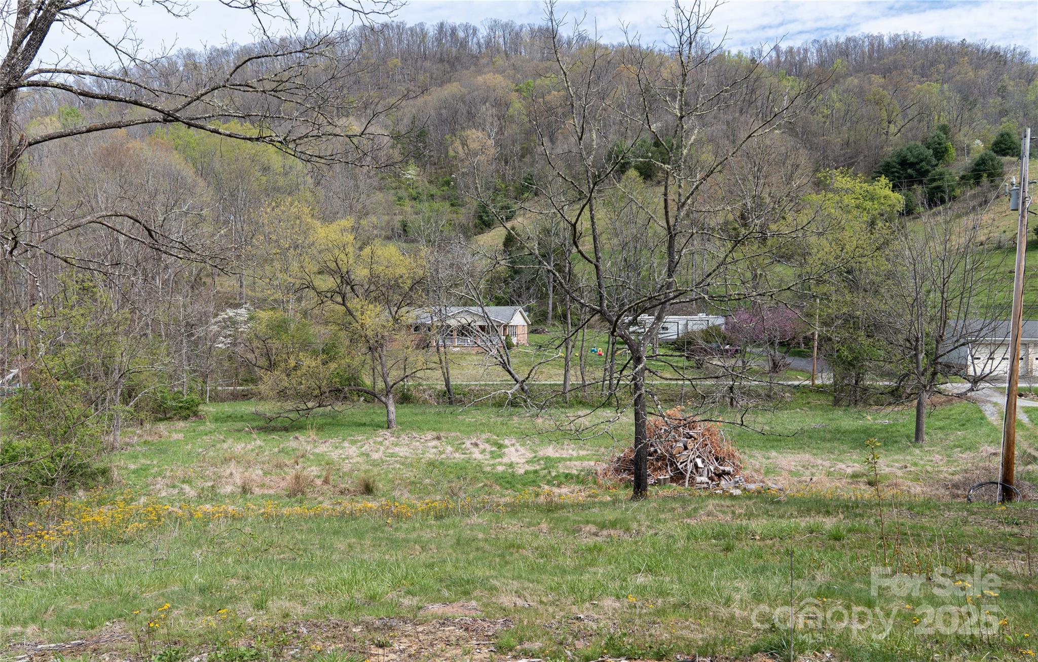 1408 Hamburg Road Mars Hill, NC 28754 - Photo 2 of 24 a backyard of a house with lots of green space