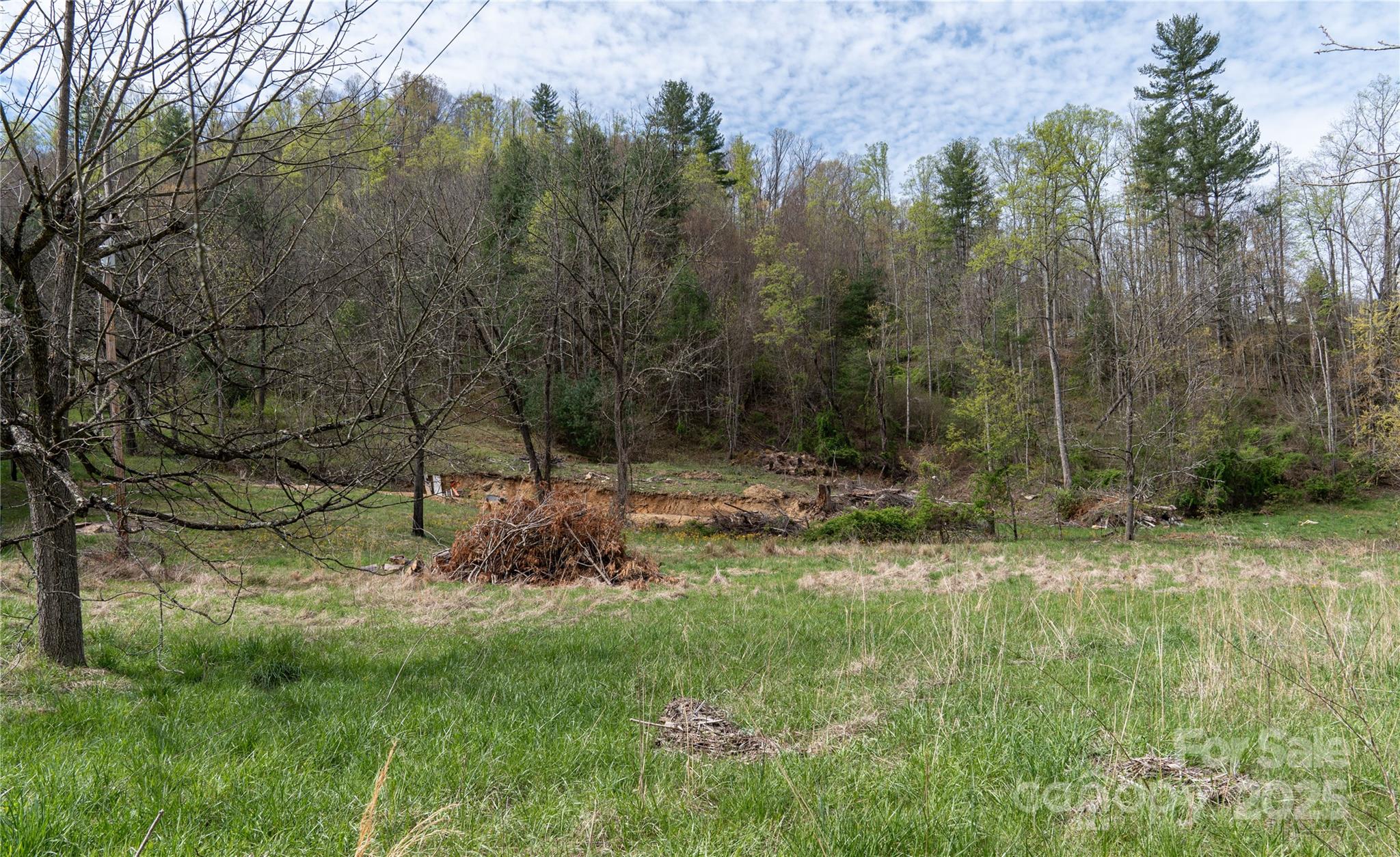 1408 Hamburg Road Mars Hill, NC 28754 - Photo 4 of 24 a backyard of a house with lots of green space