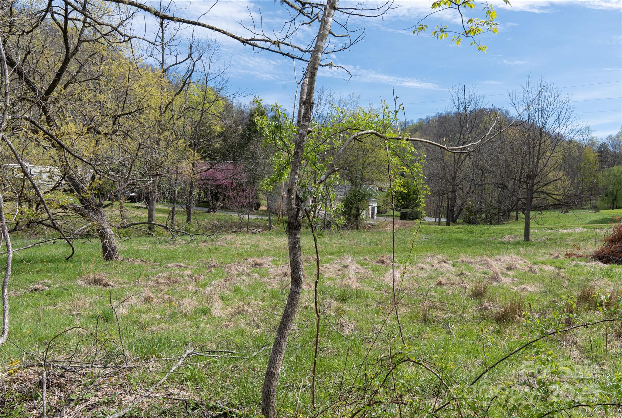 1408 Hamburg Road Mars Hill, NC 28754 - Photo 5 of 24 a view of a garden with a house