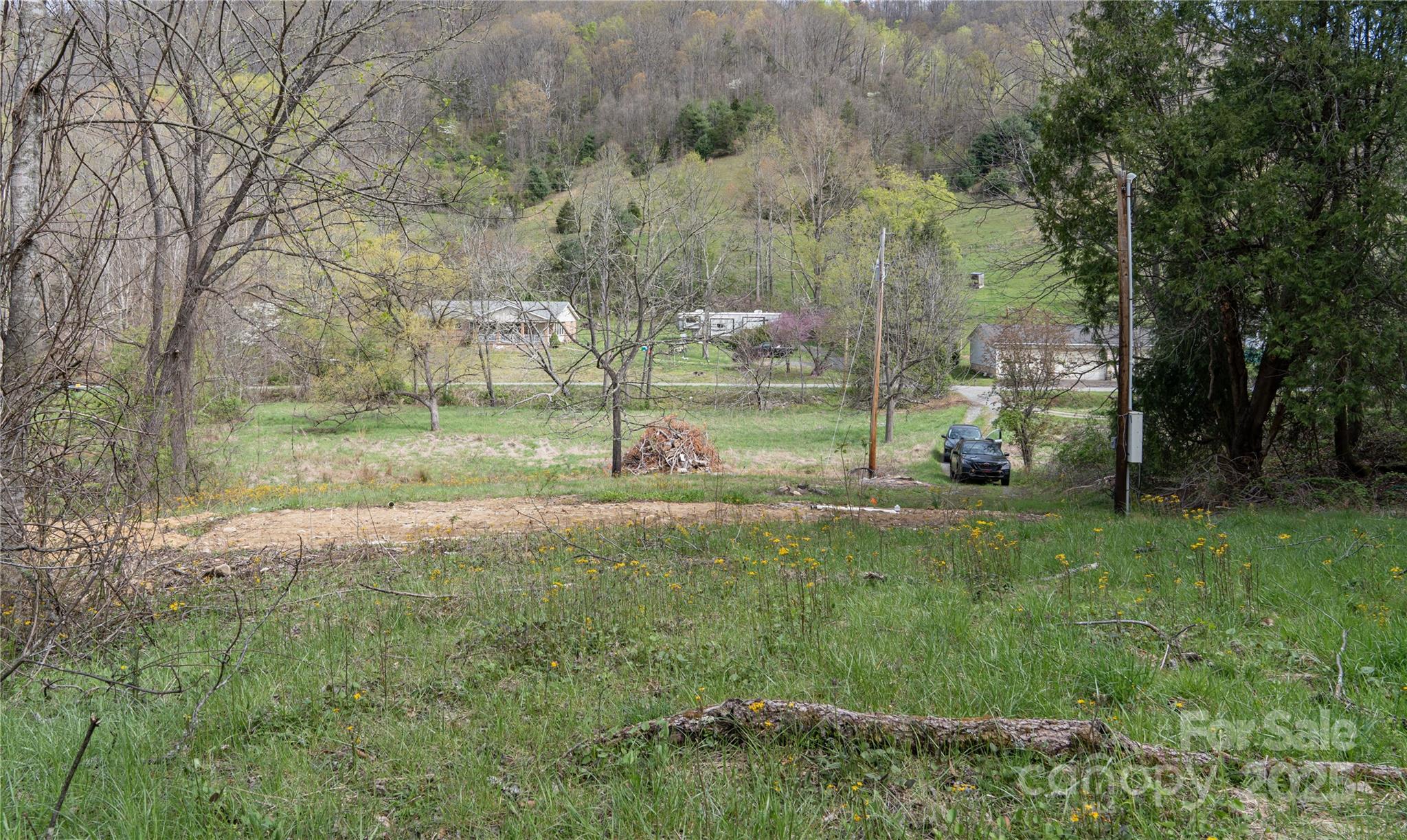 1408 Hamburg Road Mars Hill, NC 28754 - Photo 6 of 24 a view of a park