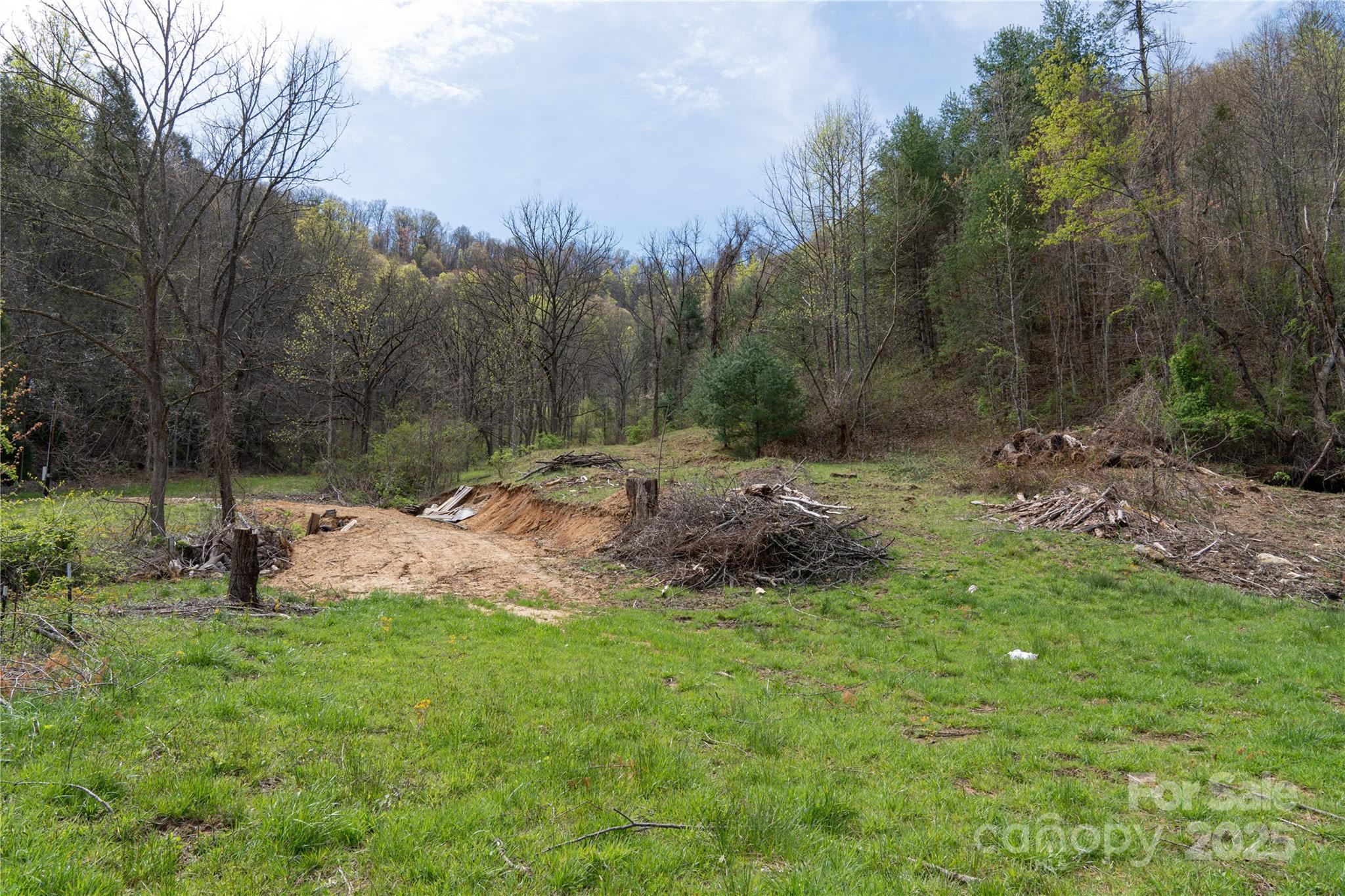 1408 Hamburg Road Mars Hill, NC 28754 - Photo 7 of 24 a view of a backyard with a large tree