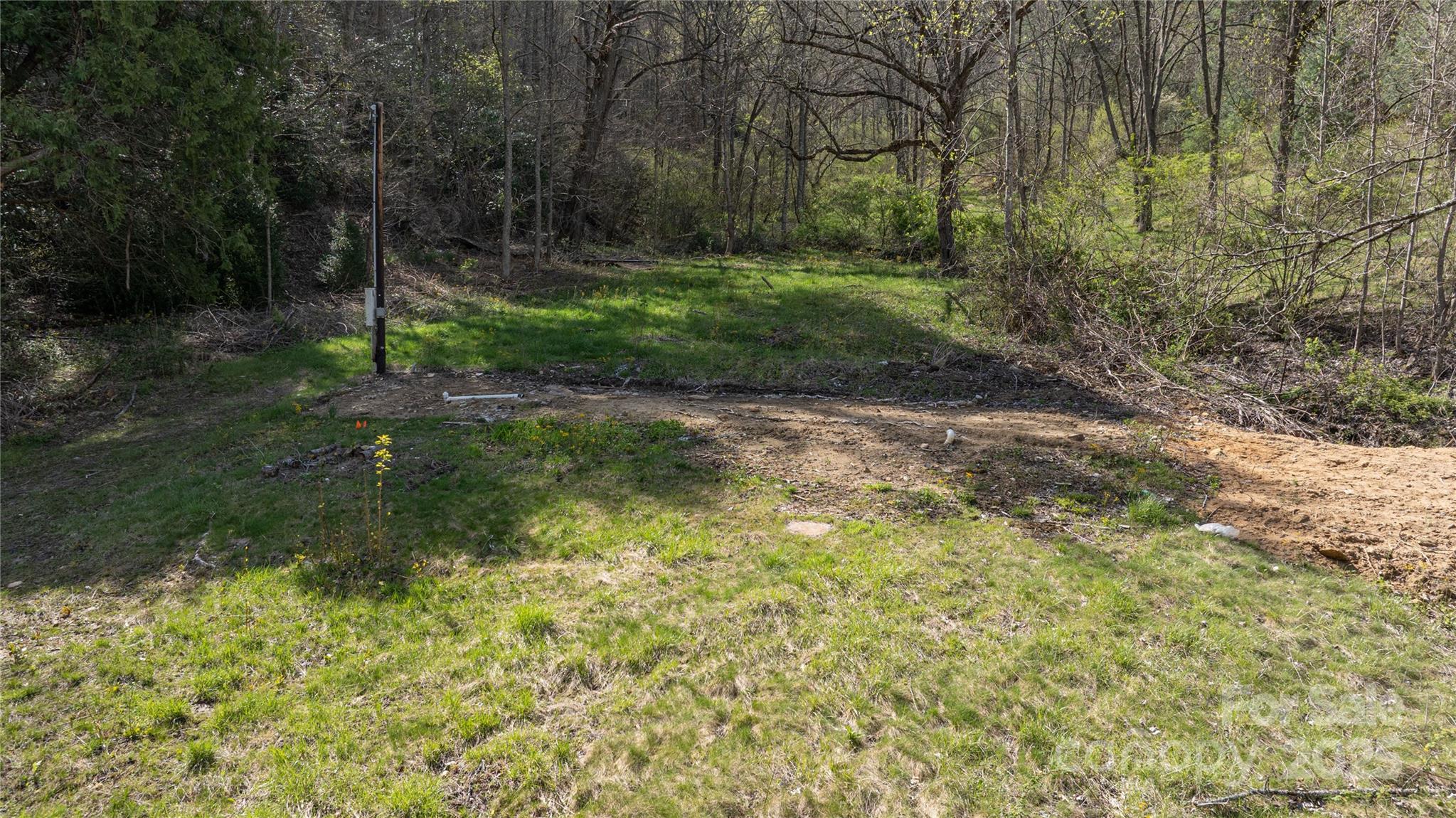 1408 Hamburg Road Mars Hill, NC 28754 - Photo 10 of 24 a backyard of a house with lots of green space