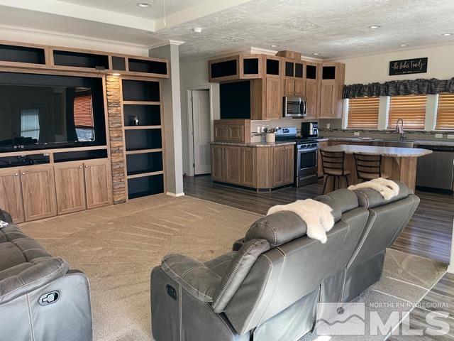 17845 Cold Springs Drive Reno, NV 89508 - Photo 4 of 12 a living room with stainless steel appliances furniture a rug and a kitchen view