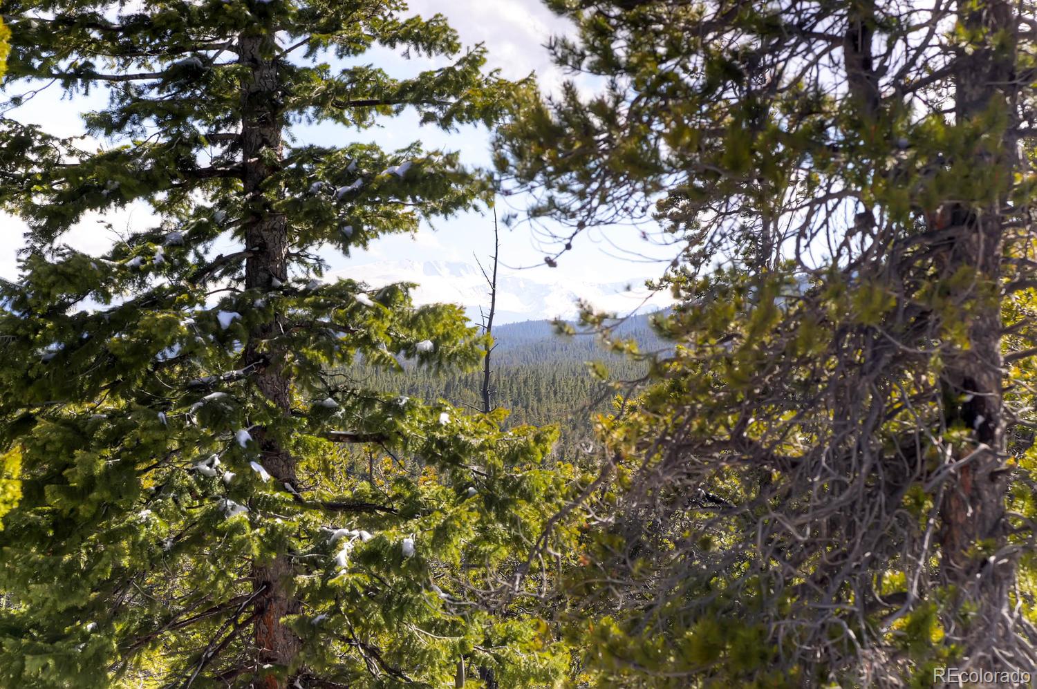 33698 Gap Road Golden, CO 80403 - Photo 11 of 34 Gallery Image 11