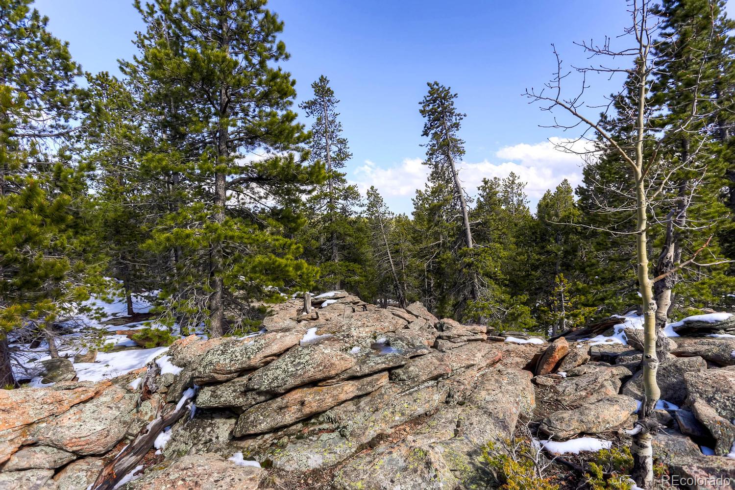 33698 Gap Road Golden, CO 80403 - Photo 13 of 34 Gallery Image 13