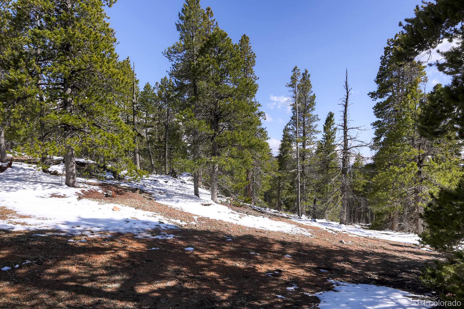 33698 Gap Road Golden, CO 80403 - Photo 14 of 34 Gallery Image 14