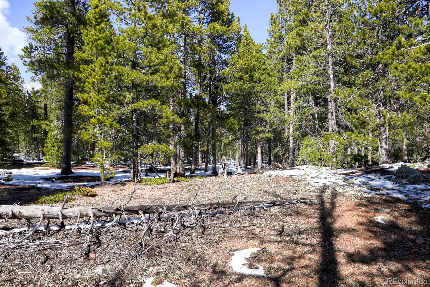 33698 Gap Road Golden, CO 80403 - Photo 15 of 34 Gallery Image 15