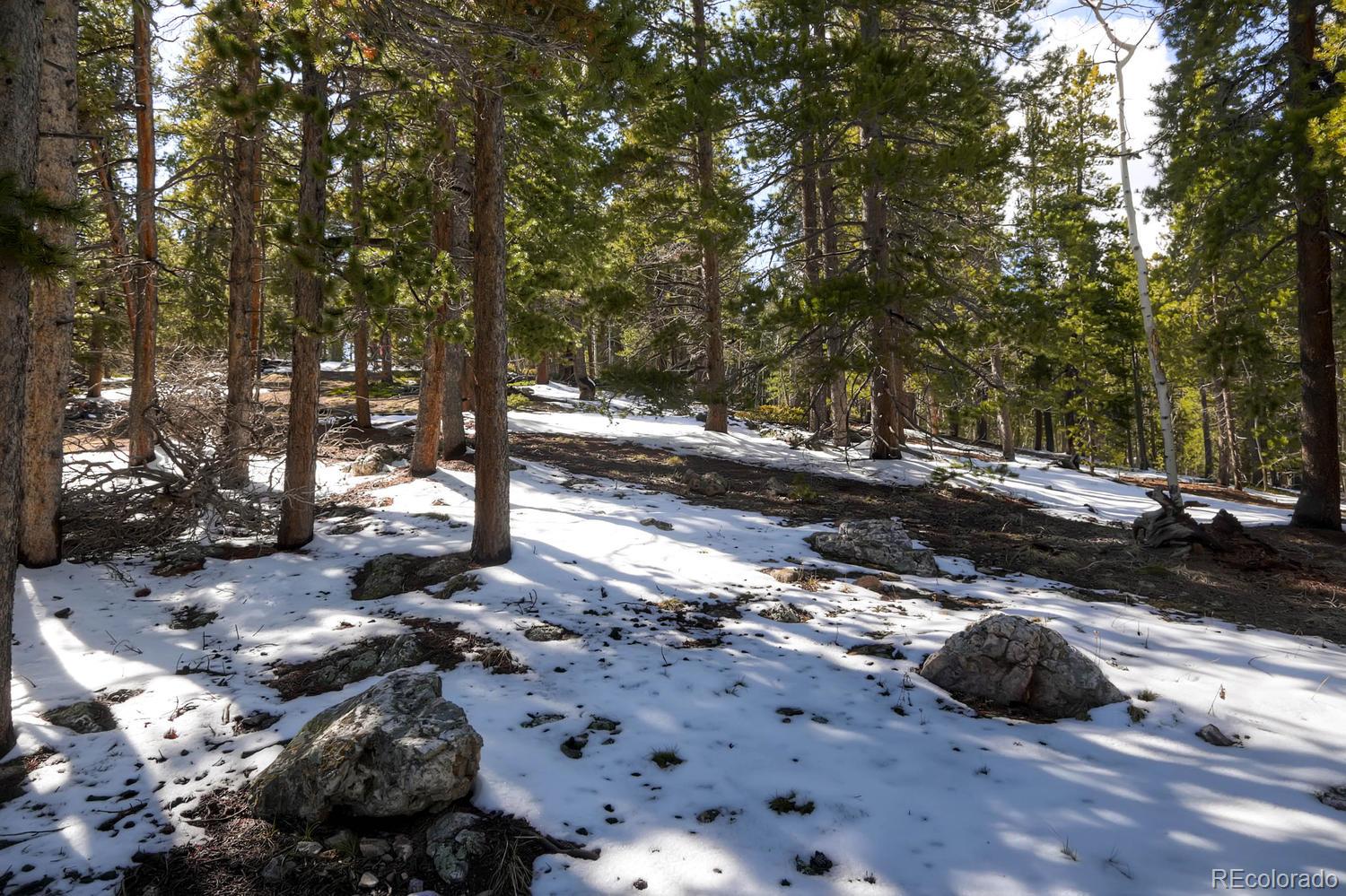 33698 Gap Road Golden, CO 80403 - Photo 16 of 34 Gallery Image 16
