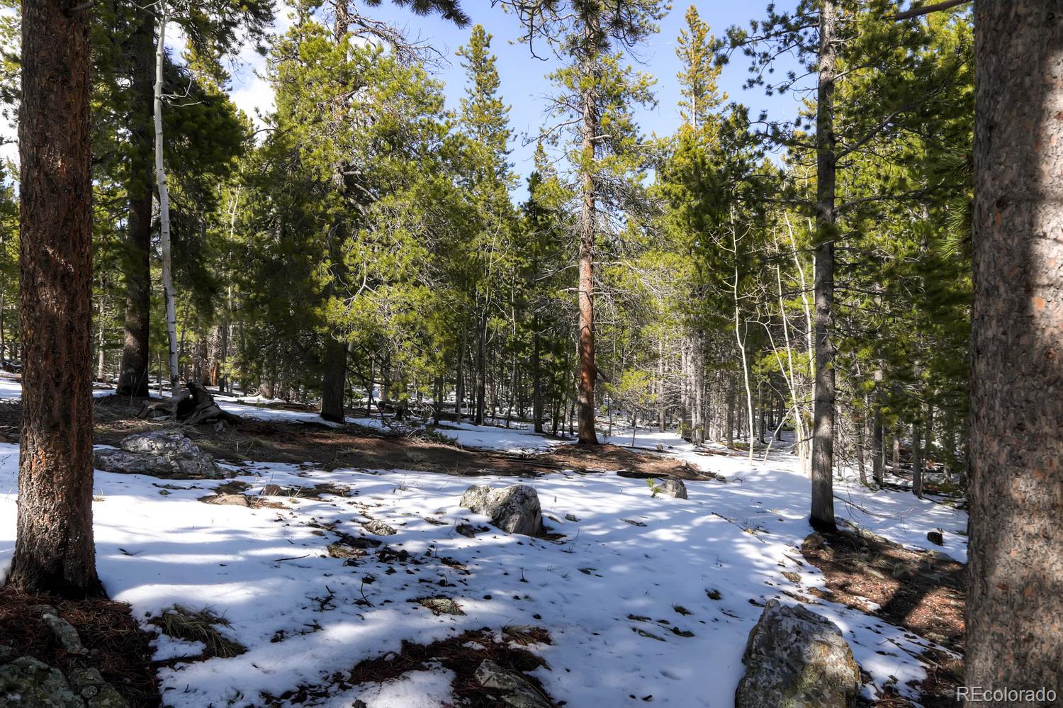 33698 Gap Road Golden, CO 80403 - Photo 17 of 34 Gallery Image 17