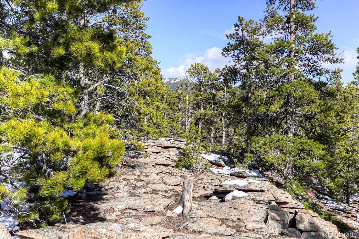 33698 Gap Road Golden, CO 80403 - Photo 22 of 34 Gallery Image 22