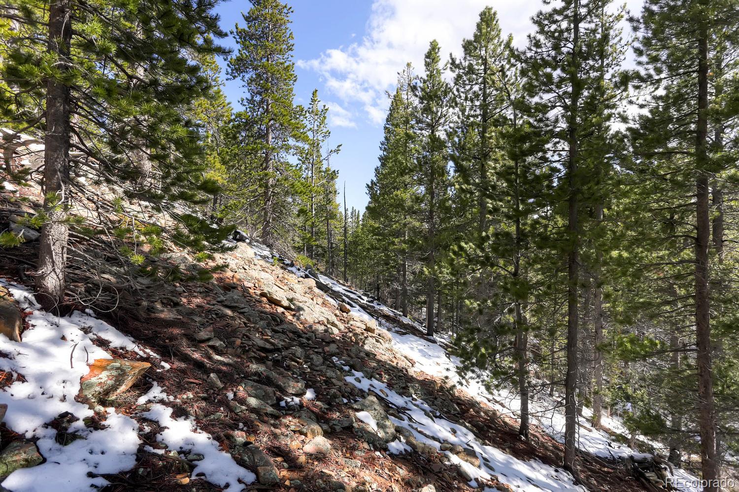 33698 Gap Road Golden, CO 80403 - Photo 23 of 34 Gallery Image 23