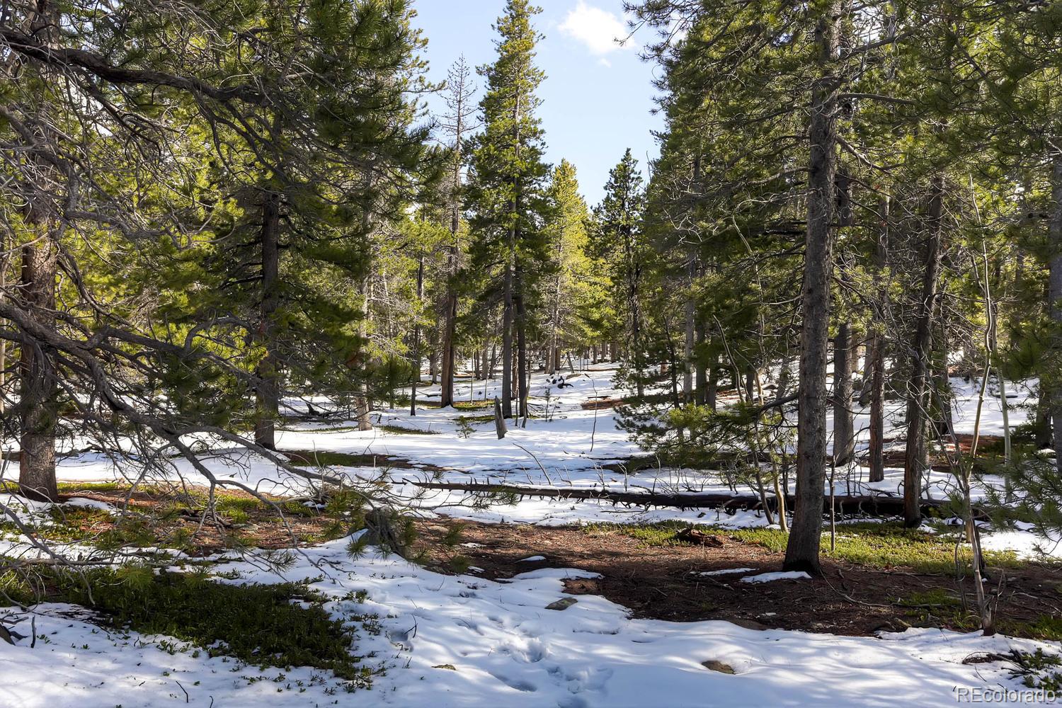 33698 Gap Road Golden, CO 80403 - Photo 24 of 34 Gallery Image 24