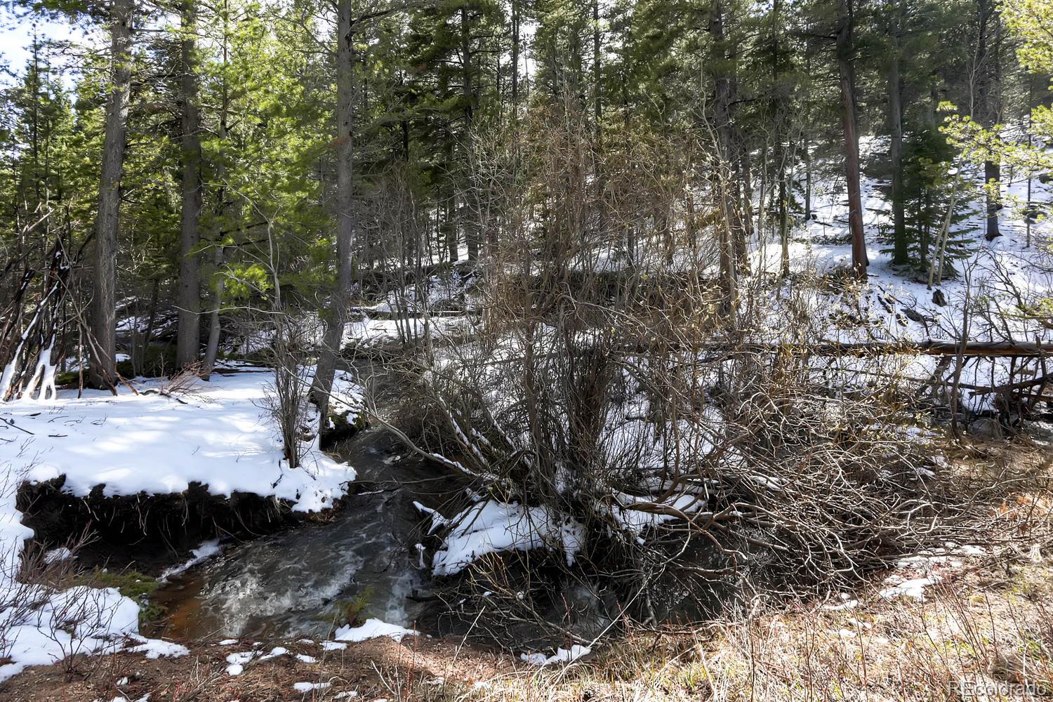 33698 Gap Road Golden, CO 80403 - Photo 27 of 34 Gallery Image 27