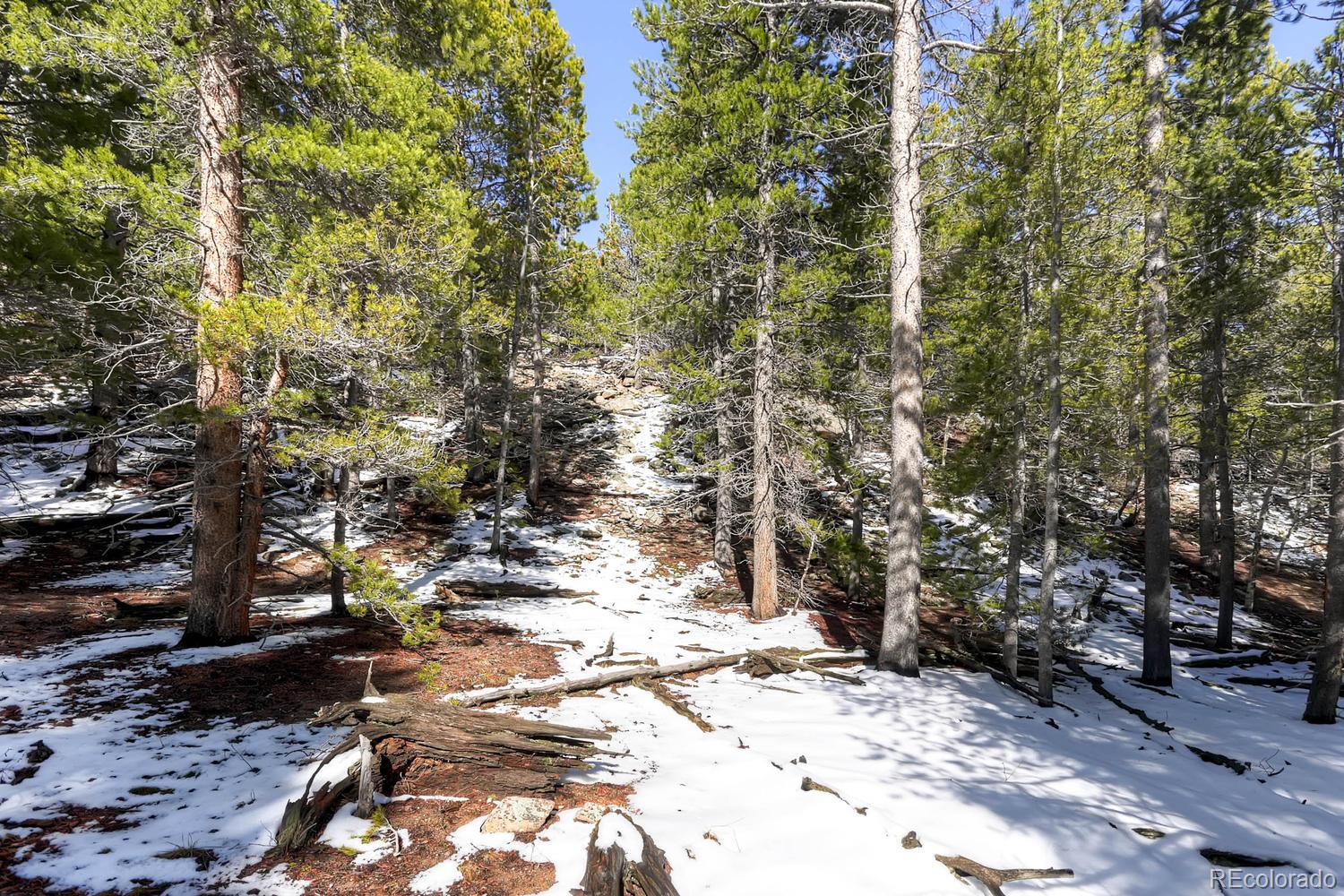 33698 Gap Road Golden, CO 80403 - Photo 33 of 34 Gallery Image 33