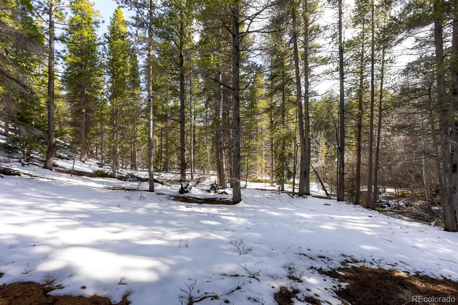 33698 Gap Road Golden, CO 80403 - Photo 34 of 34 Gallery Image 34