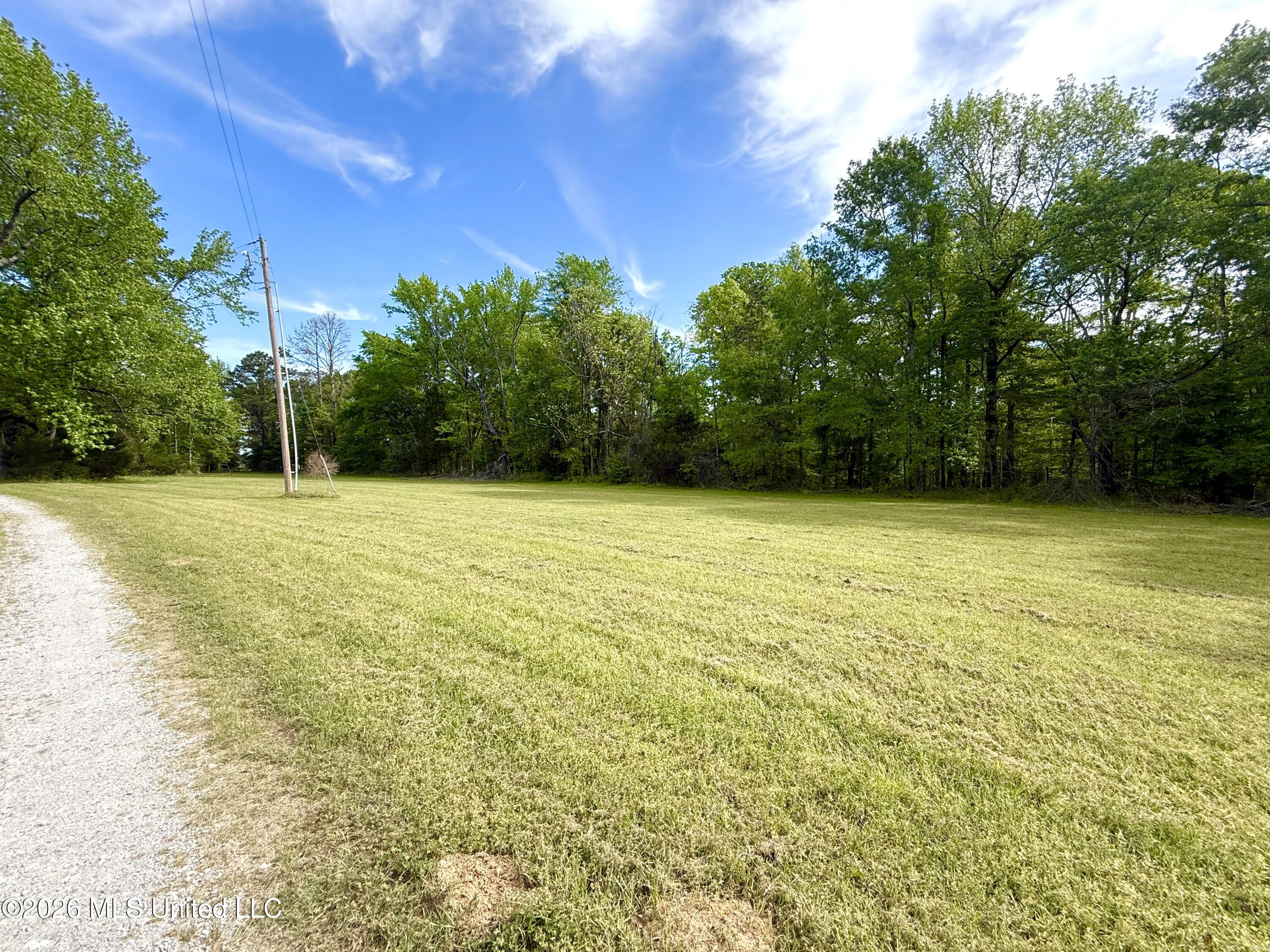 11155 New Zion Road Crystal Springs, MS 39059 - Photo 12 of 86 IMG_6173