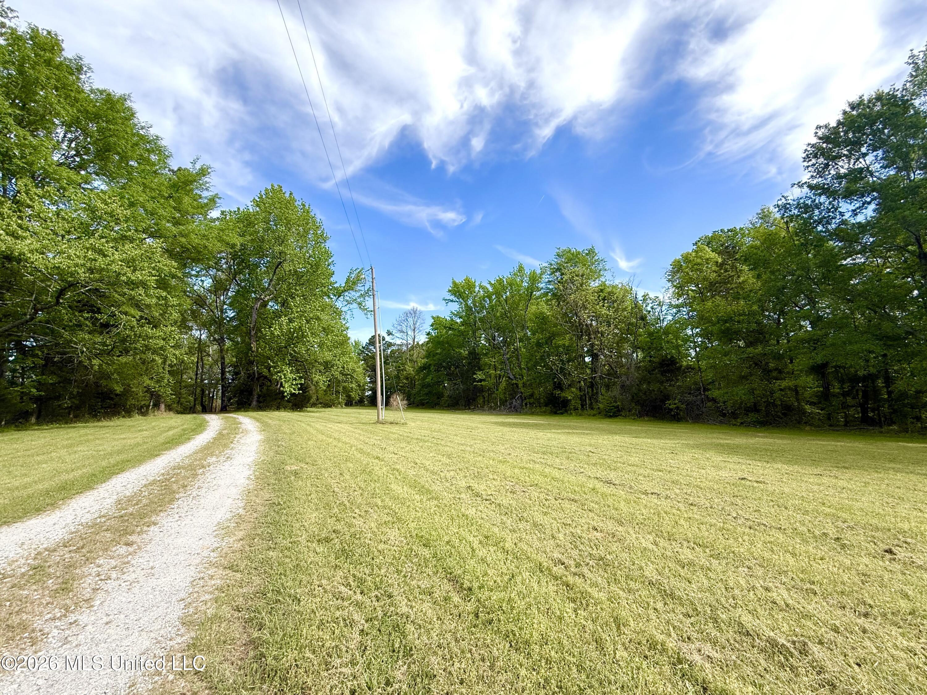11155 New Zion Road Crystal Springs, MS 39059 - Photo 13 of 86 IMG_6174