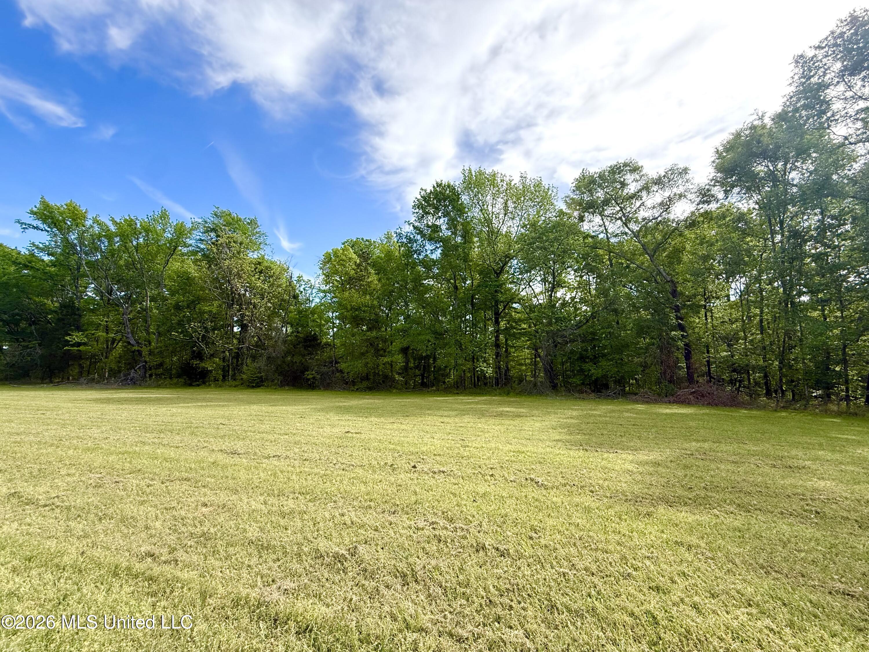 11155 New Zion Road Crystal Springs, MS 39059 - Photo 14 of 86 IMG_6175