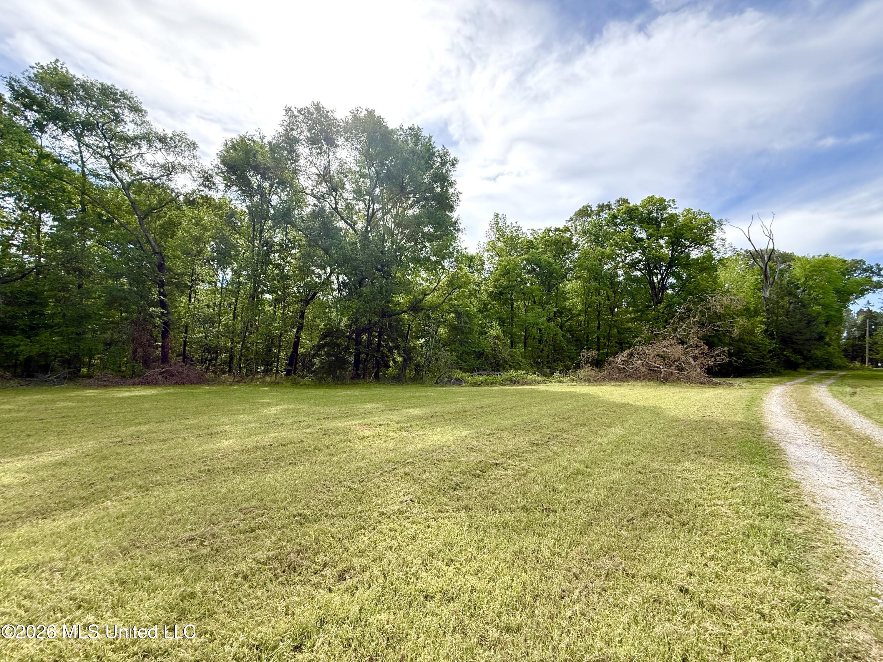 11155 New Zion Road Crystal Springs, MS 39059 - Photo 15 of 86 IMG_6176
