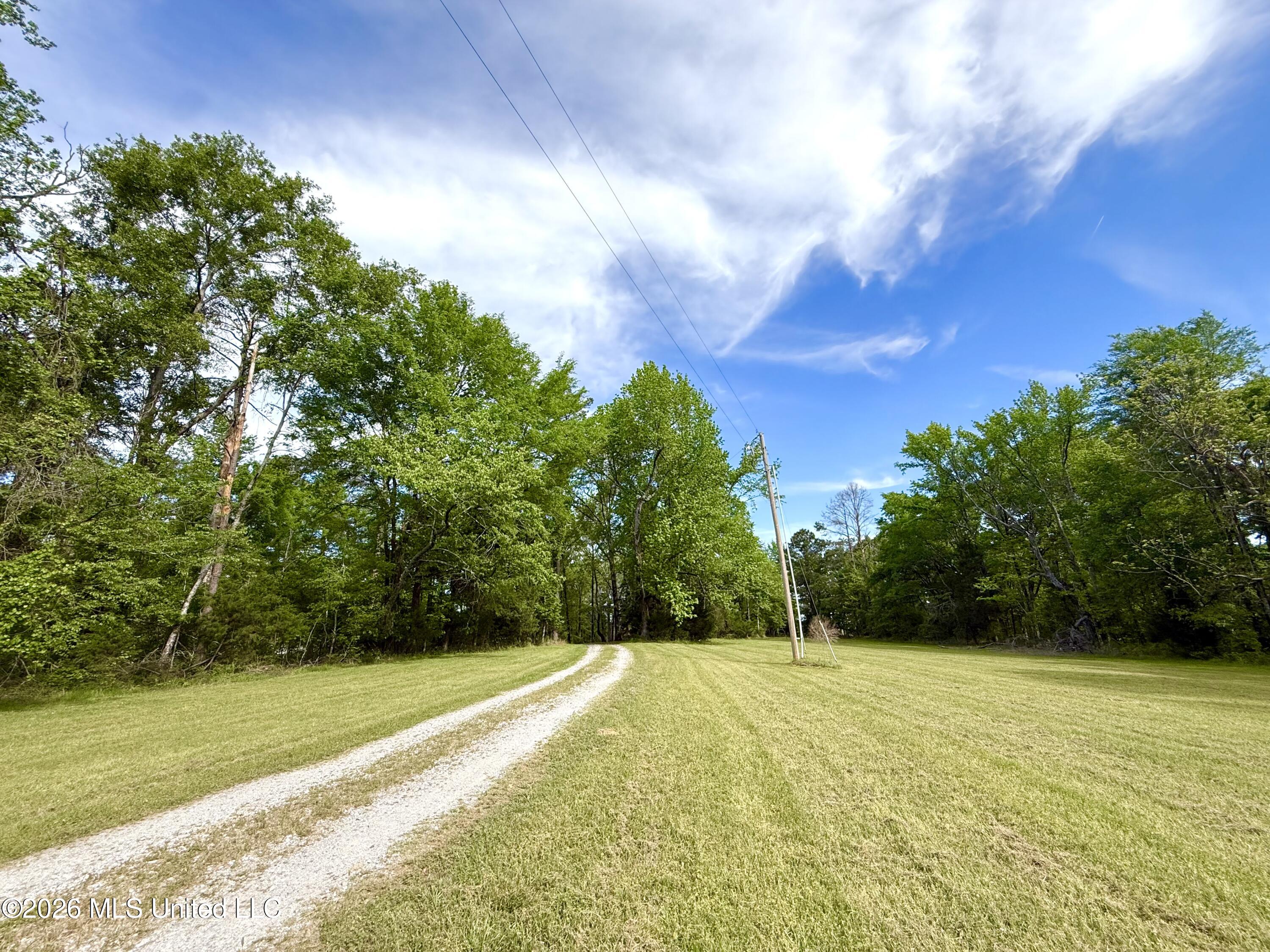 11155 New Zion Road Crystal Springs, MS 39059 - Photo 16 of 86 IMG_6177