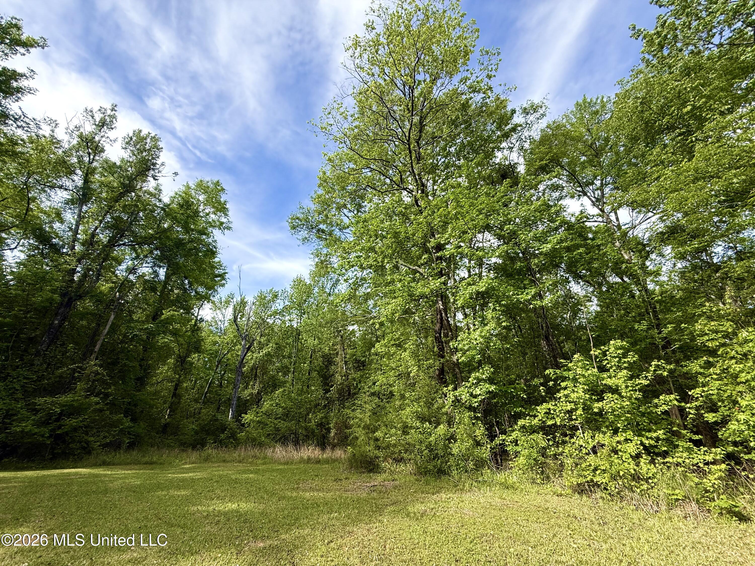 11155 New Zion Road Crystal Springs, MS 39059 - Photo 18 of 86 IMG_6162