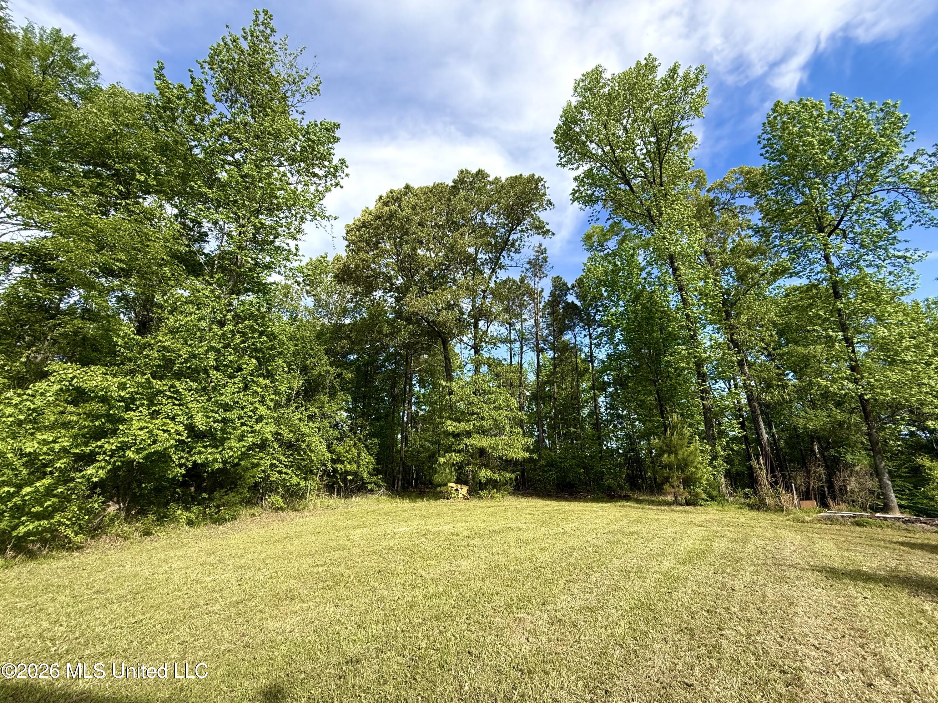 11155 New Zion Road Crystal Springs, MS 39059 - Photo 19 of 86 IMG_6161