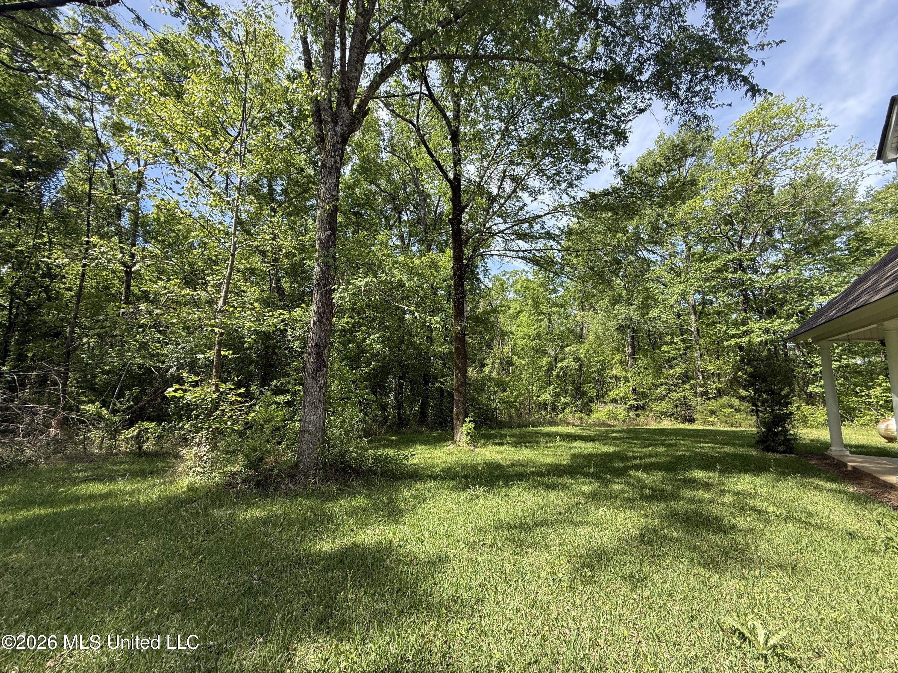 11155 New Zion Road Crystal Springs, MS 39059 - Photo 82 of 86 IMG_6109