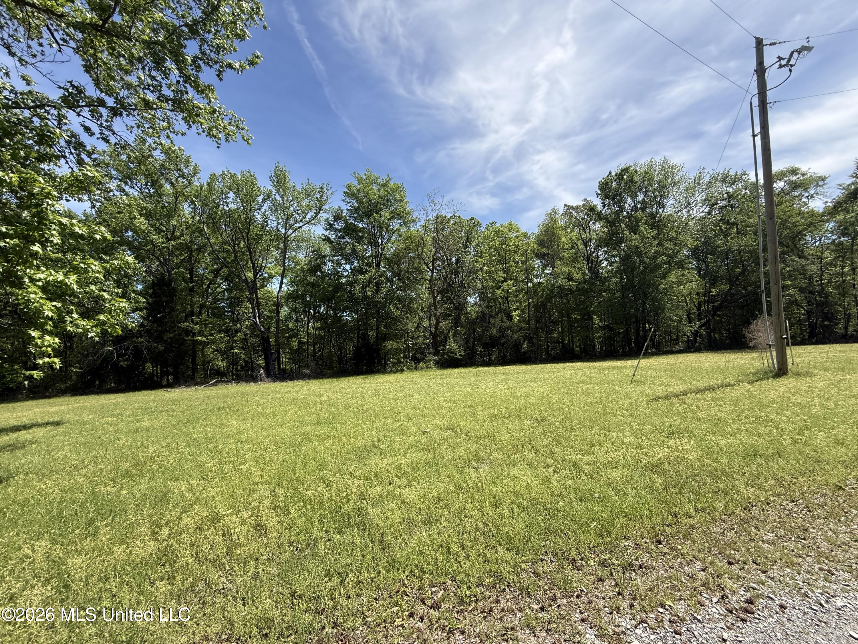11155 New Zion Road Crystal Springs, MS 39059 - Photo 83 of 86 IMG_6115