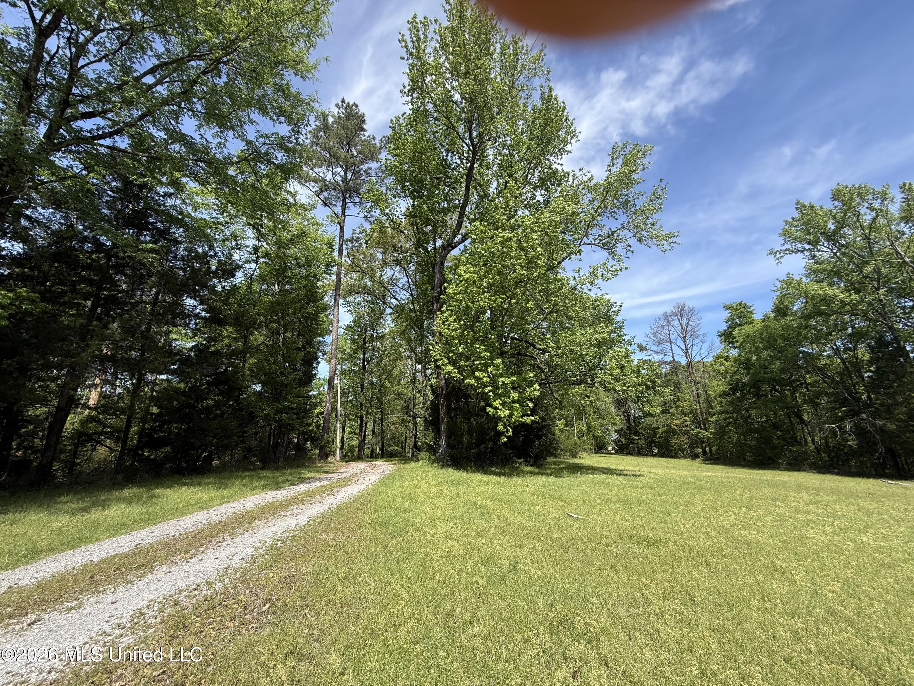 11155 New Zion Road Crystal Springs, MS 39059 - Photo 84 of 86 IMG_6117