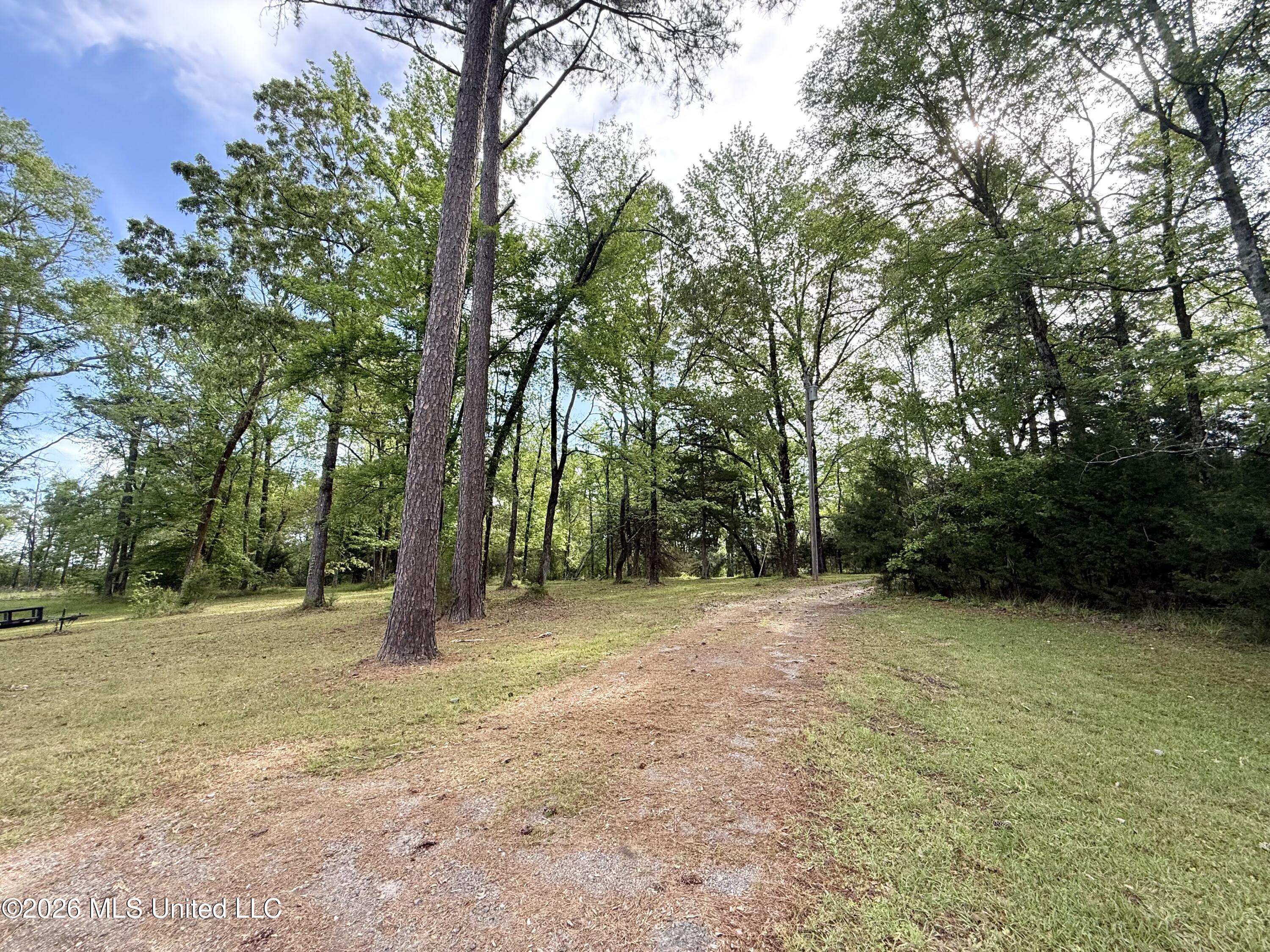 11155 New Zion Road Crystal Springs, MS 39059 - Photo 86 of 86 IMG_6170