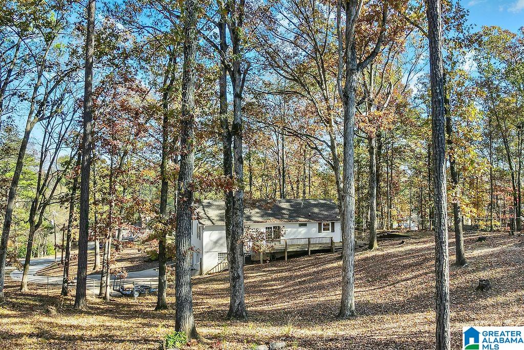 1226 Dunham Lane Helena, AL 35080 - Photo 57 of 62