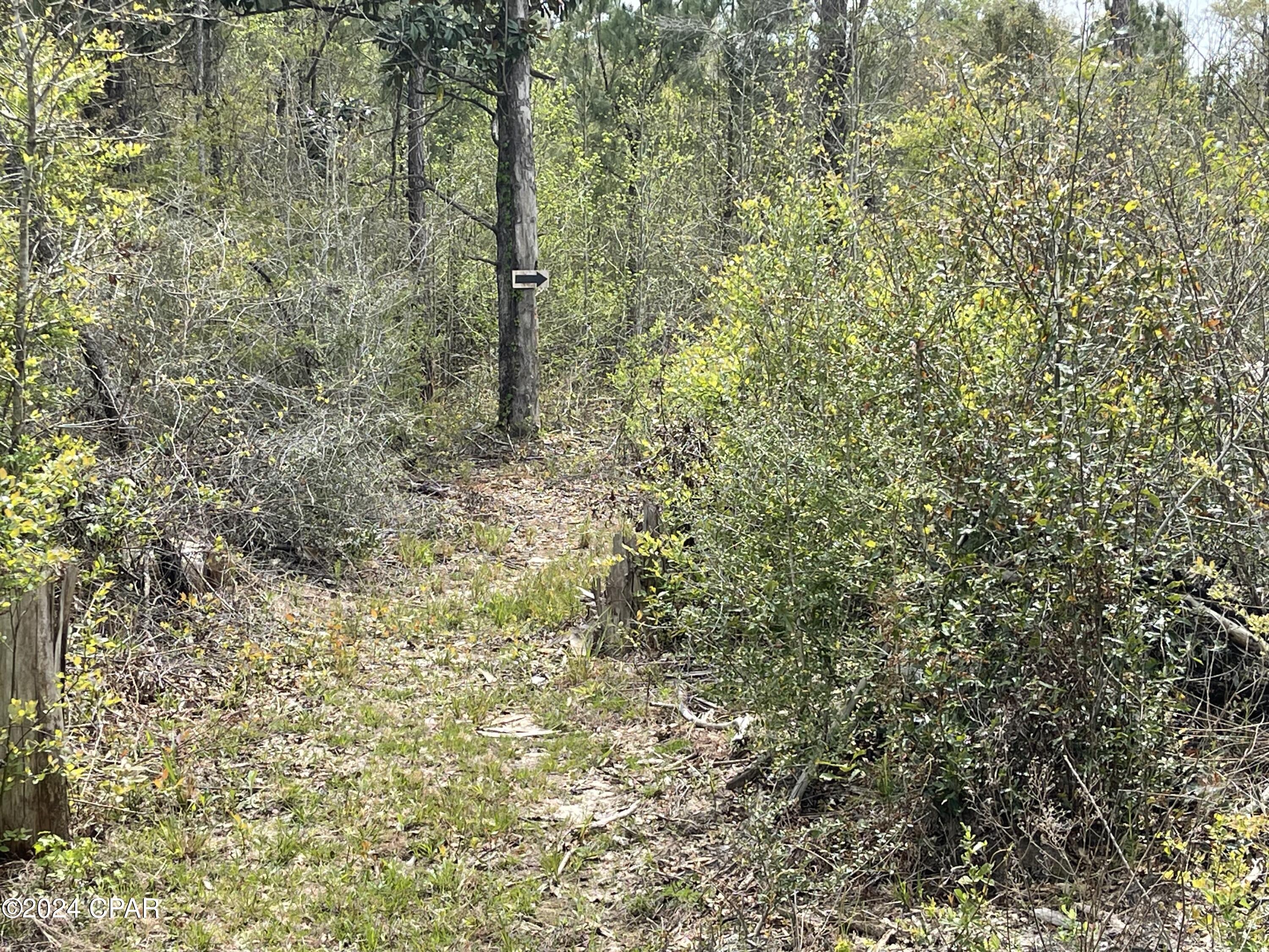 2437 Gilberts Mill Road Chipley, FL 32428 - Photo 6 of 22