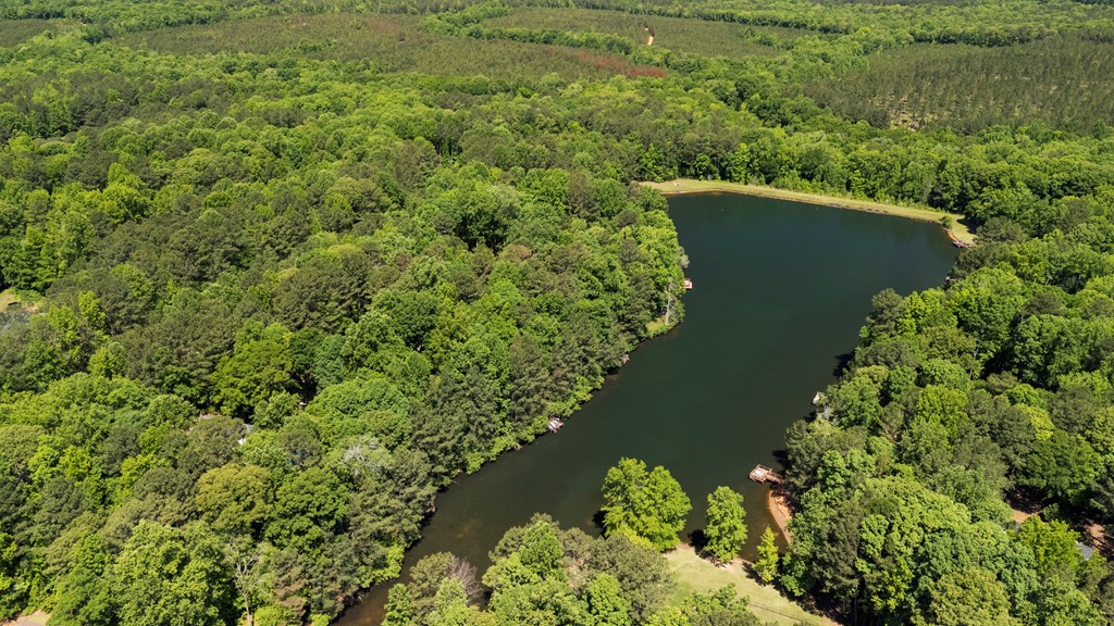 384 Spring Lake Drive Fortson, GA 31808 - Photo 4 of 28