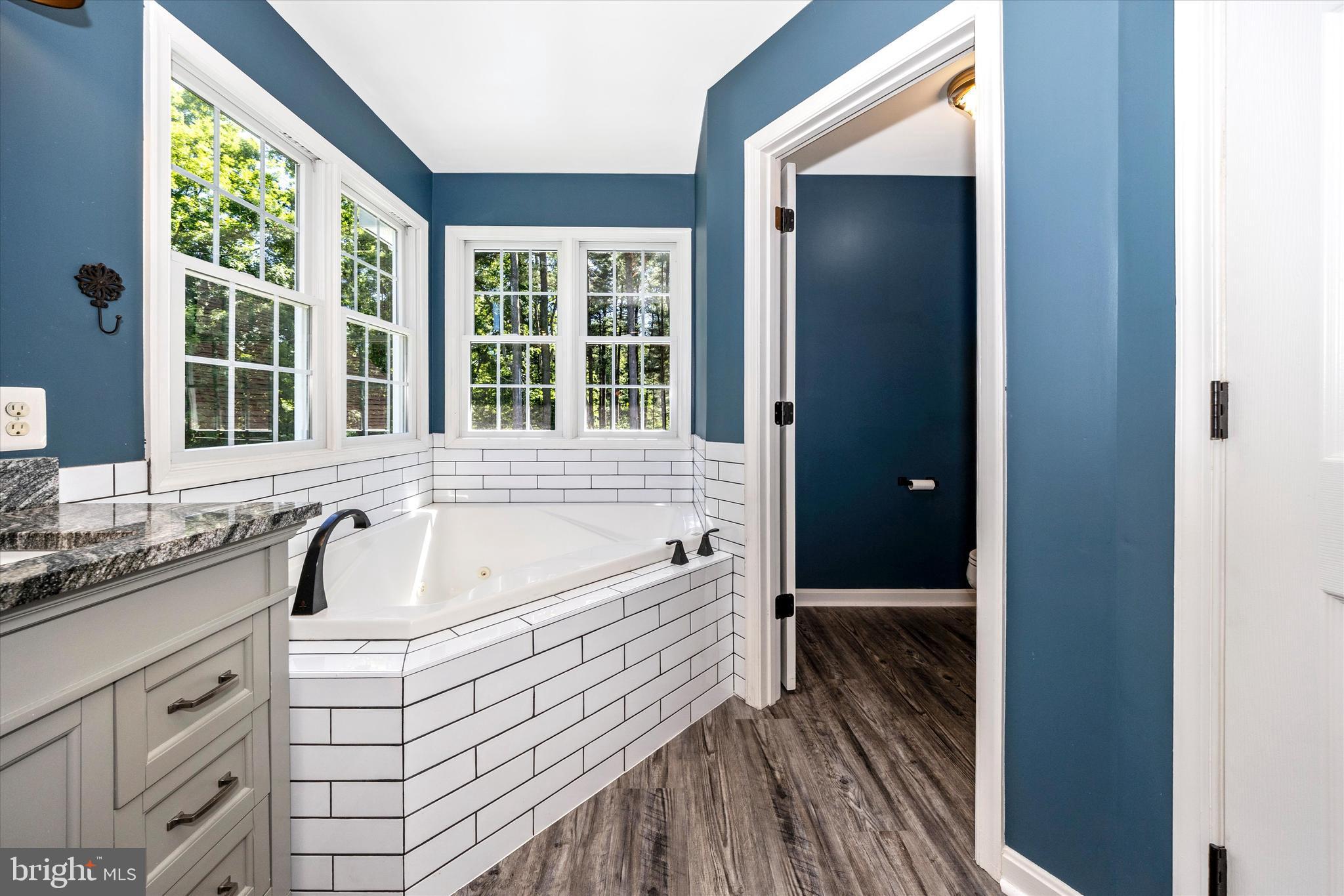 12551 New Windsor Road Union Bridge, MD 21791 - Photo 31 of 60 Soaking Tub