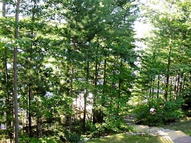 N8607 Marquardt Road Gleason, WI 54435 - Photo 14 of 20 Gallery Image 14
