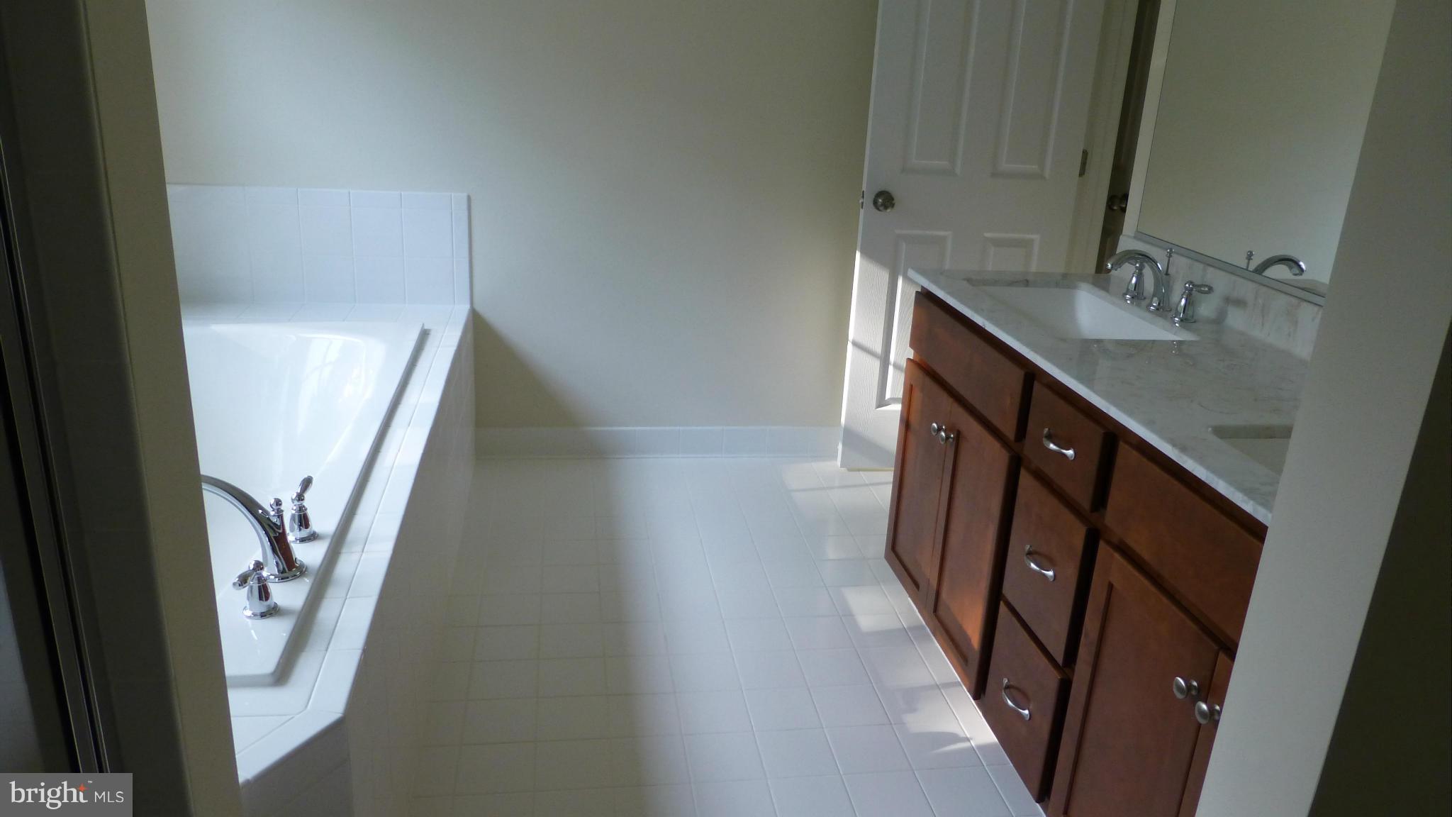 20062 Colchester Road Purcellville, VA 20132 - Photo 12 of 19 Bath (Master)
