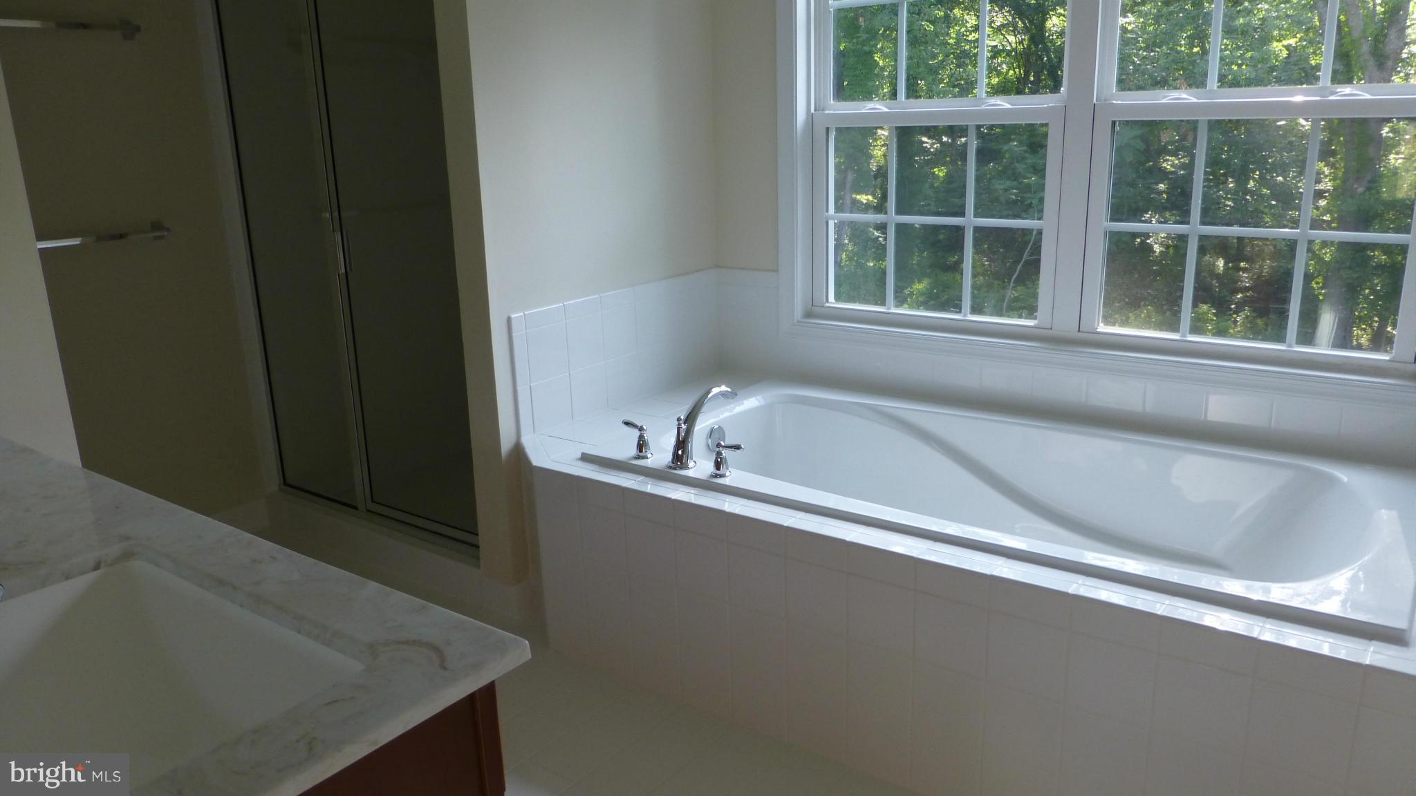20062 Colchester Road Purcellville, VA 20132 - Photo 13 of 19 Bath (Master)