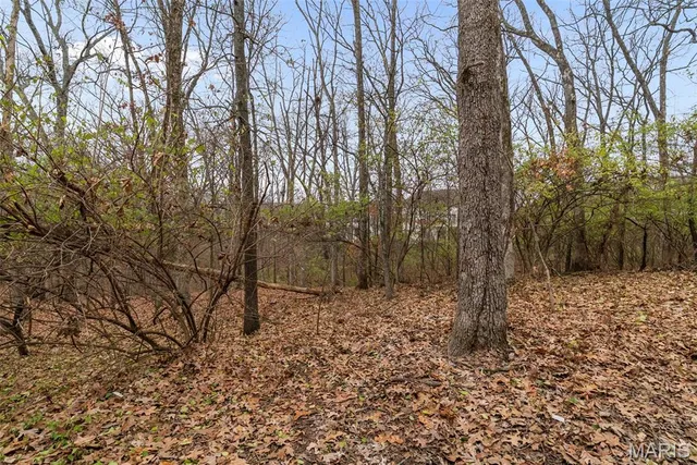 $650,000 | 2639 Rockwood Pointe Court, Wildwood, MO 63040